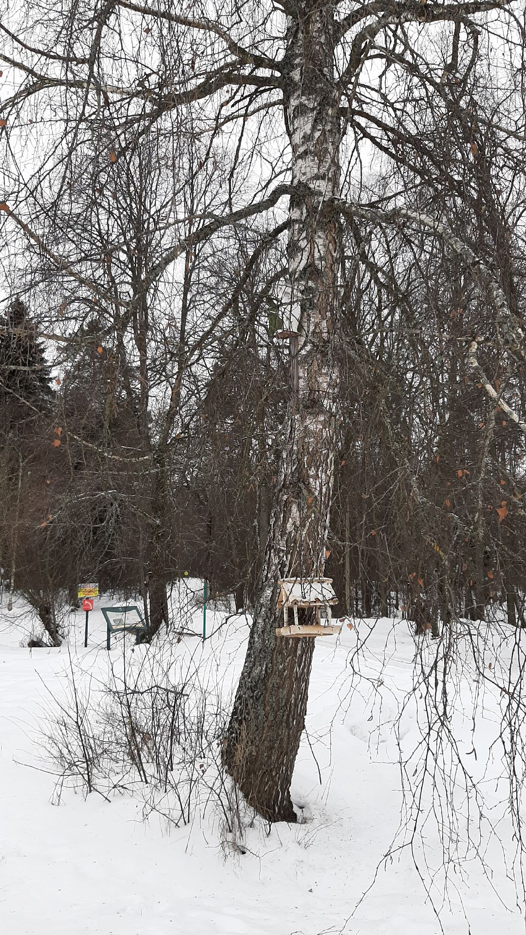 Серпухов Общество