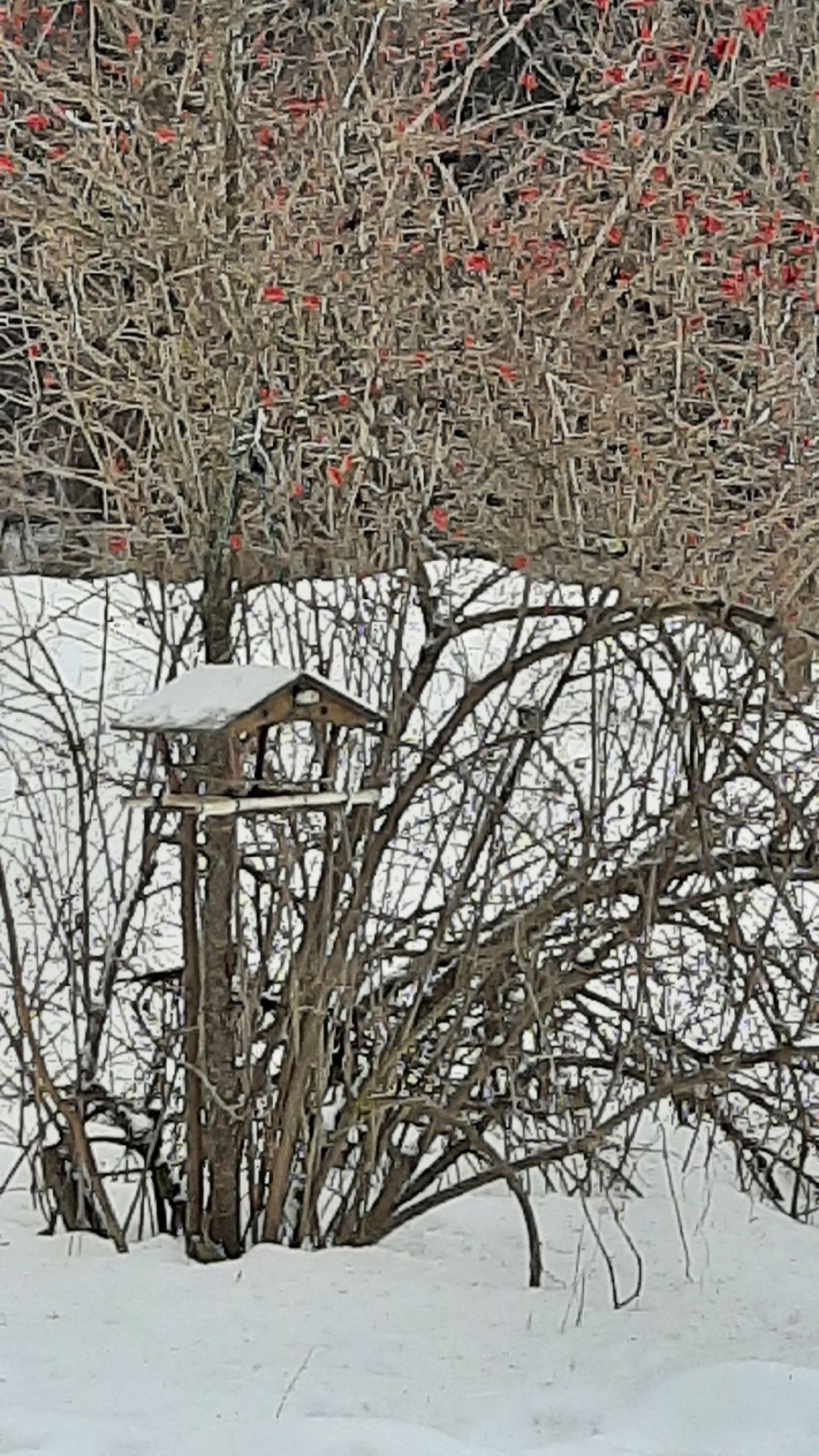Серпухов Общество