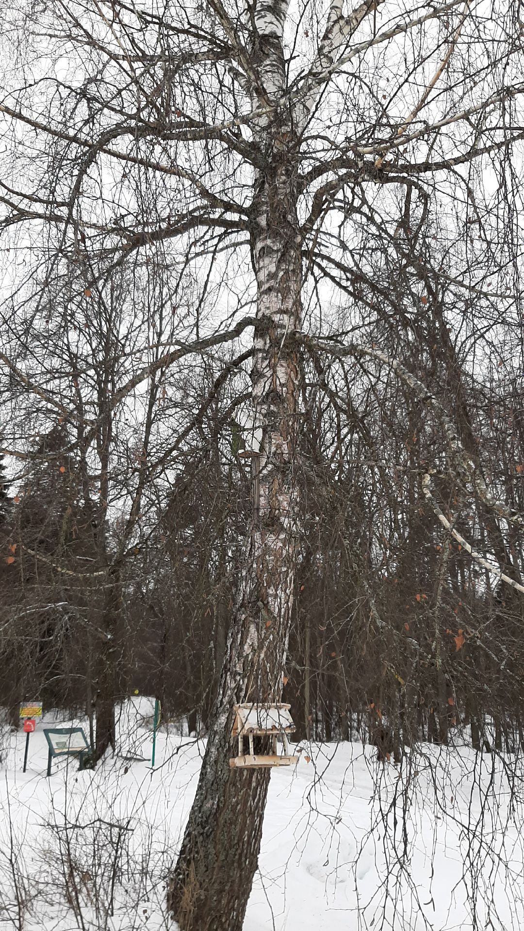 Серпухов Общество