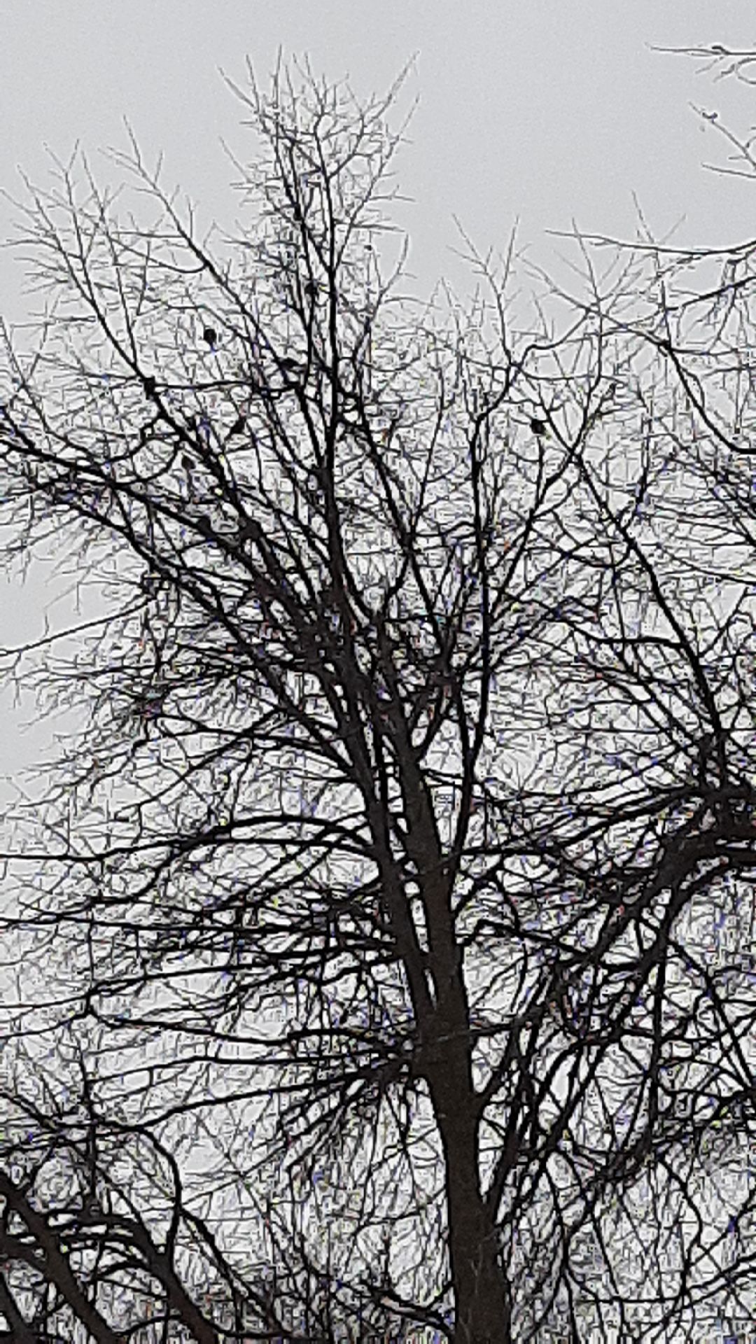 Серпухов Общество