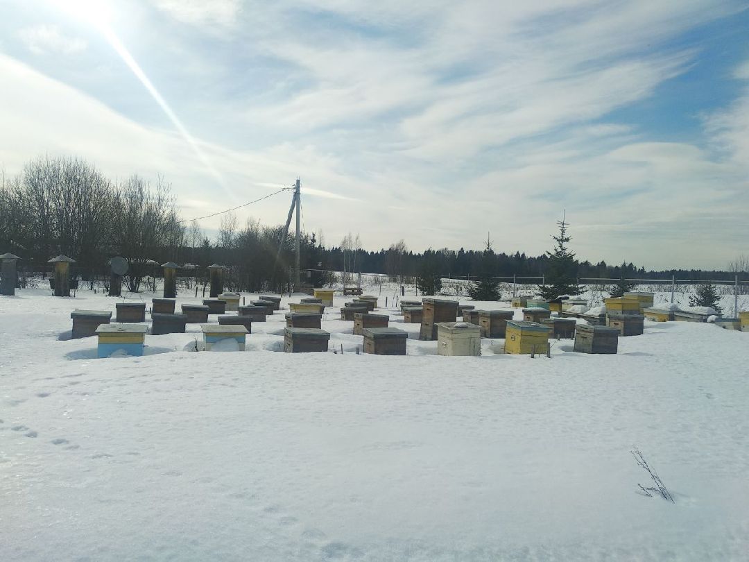 Дмитров, Фермеры, Ремесла, Туризм, Минсельхоз