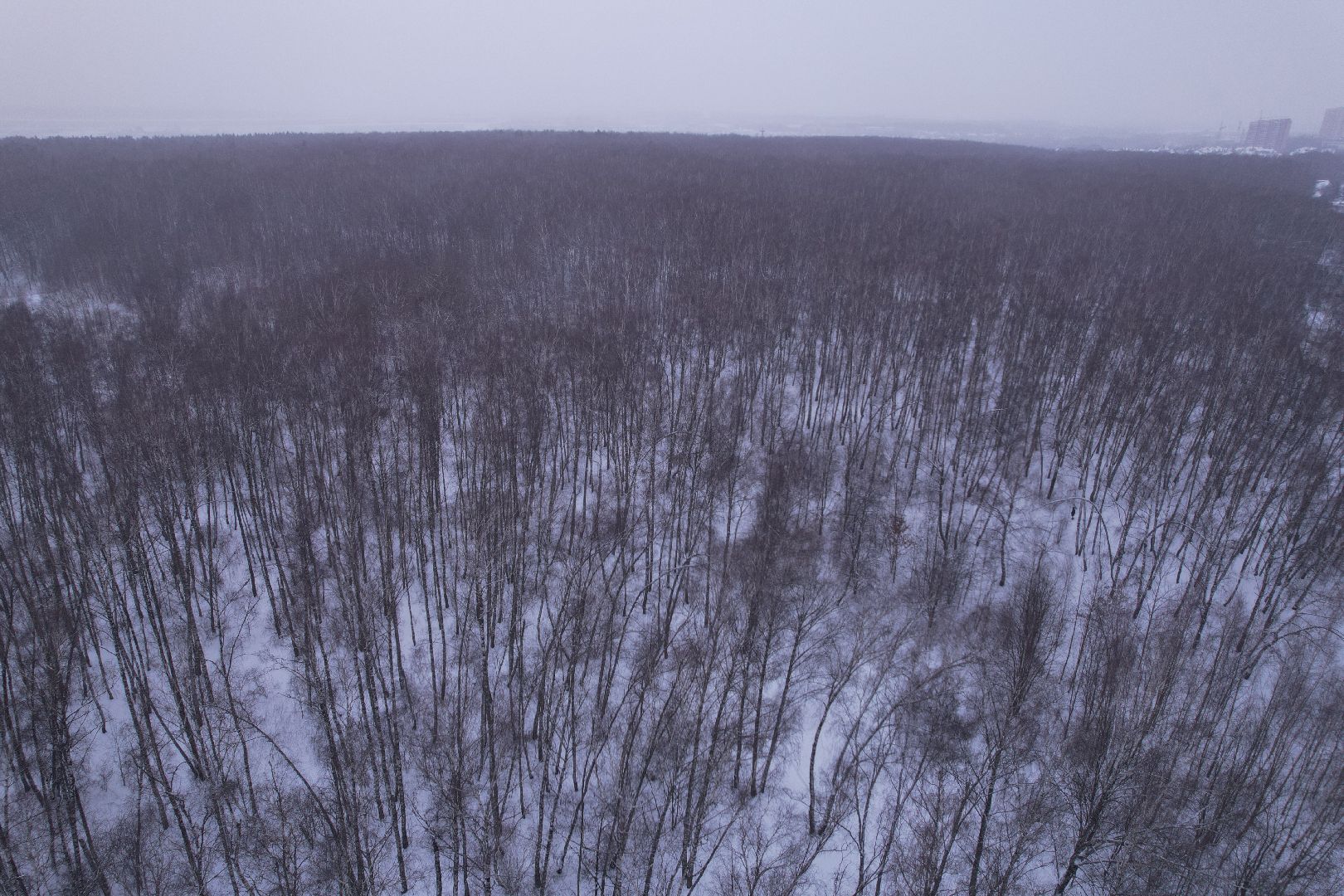 видео с коптера, вертикаль, пущино,
