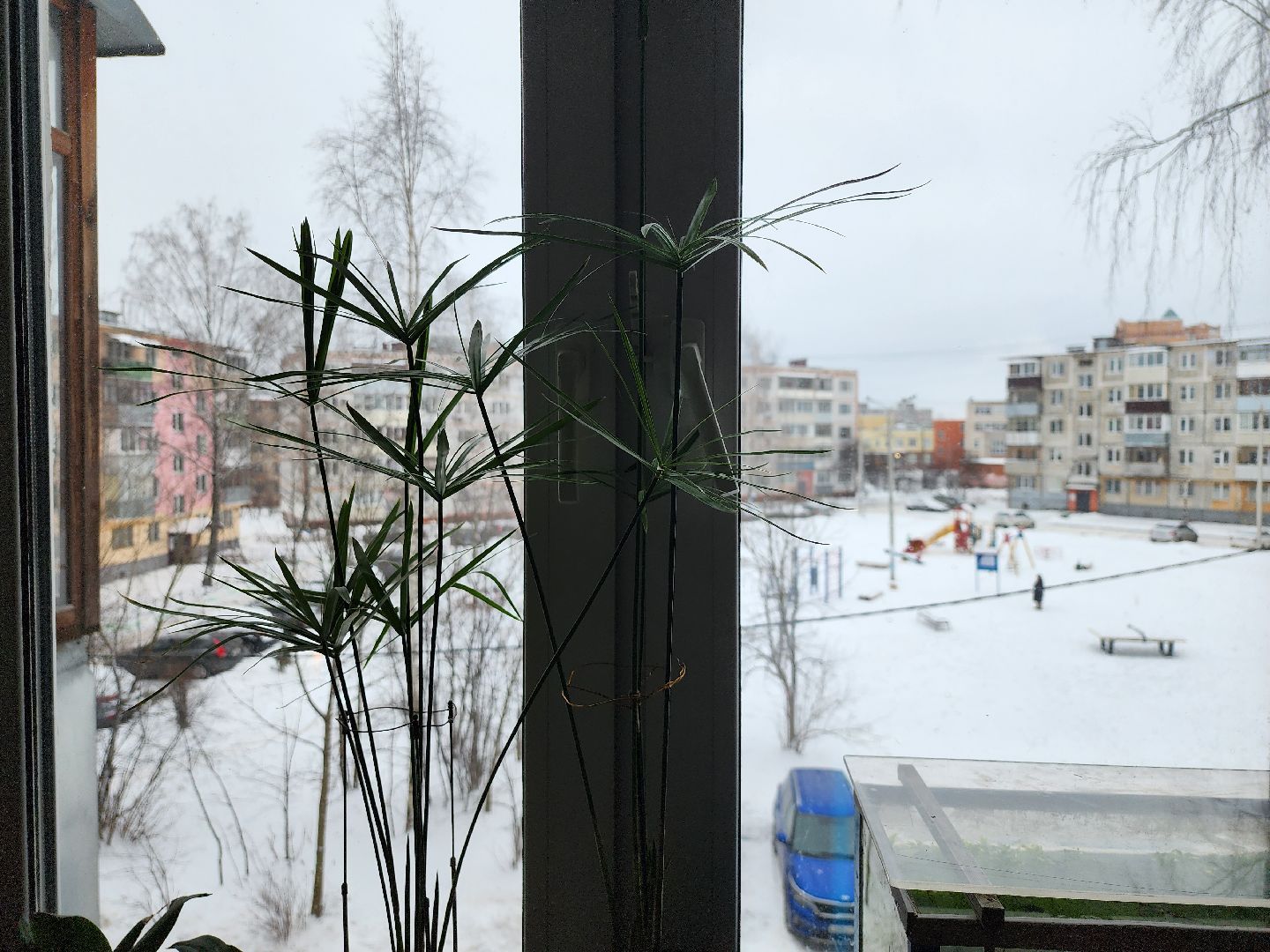 Подмосковье, Инвалид-ремесленник, новогодний мастер, Серпухов, Творец,