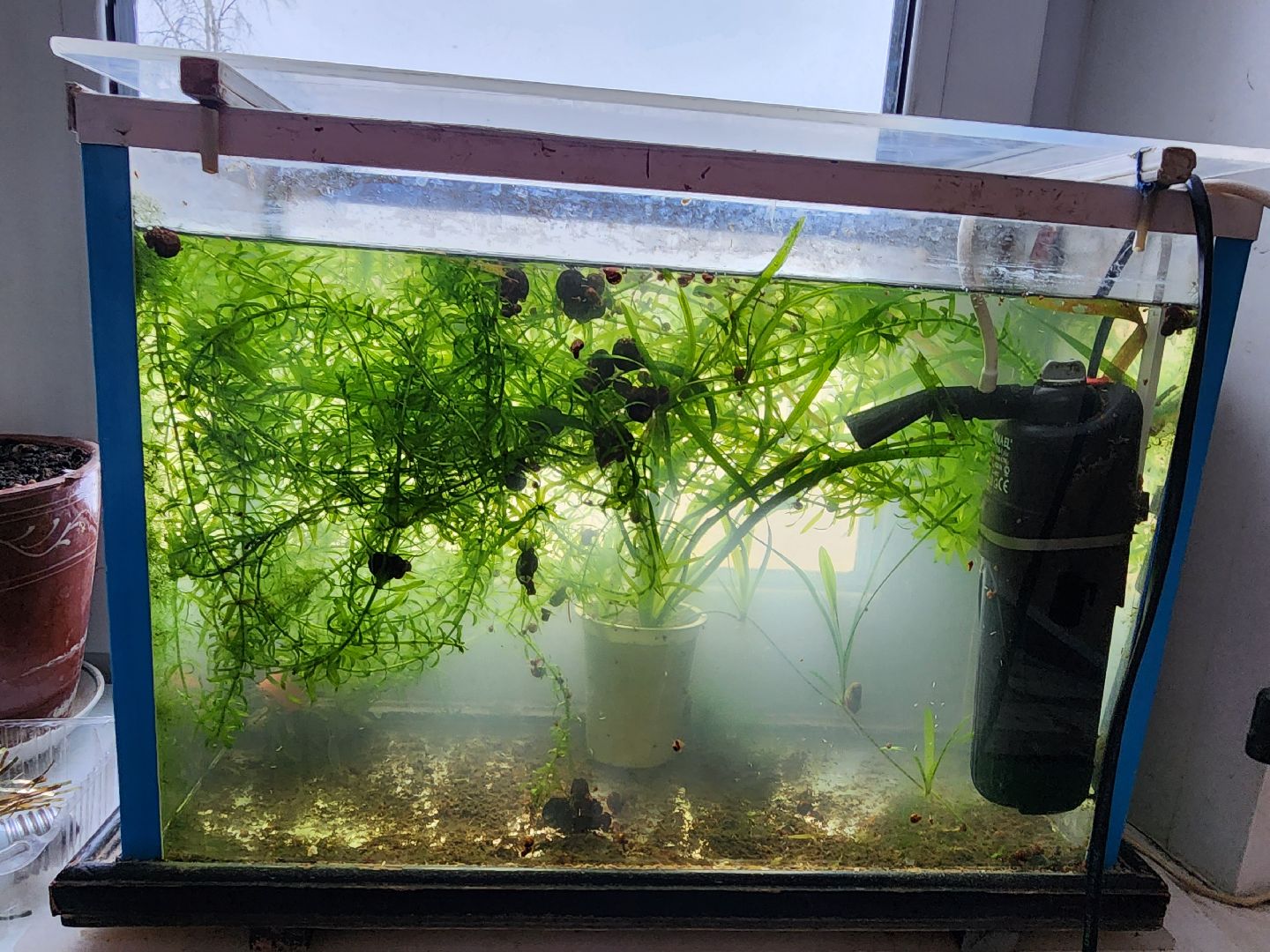 Подмосковье, Инвалид-ремесленник, новогодний мастер, Серпухов, Творец,