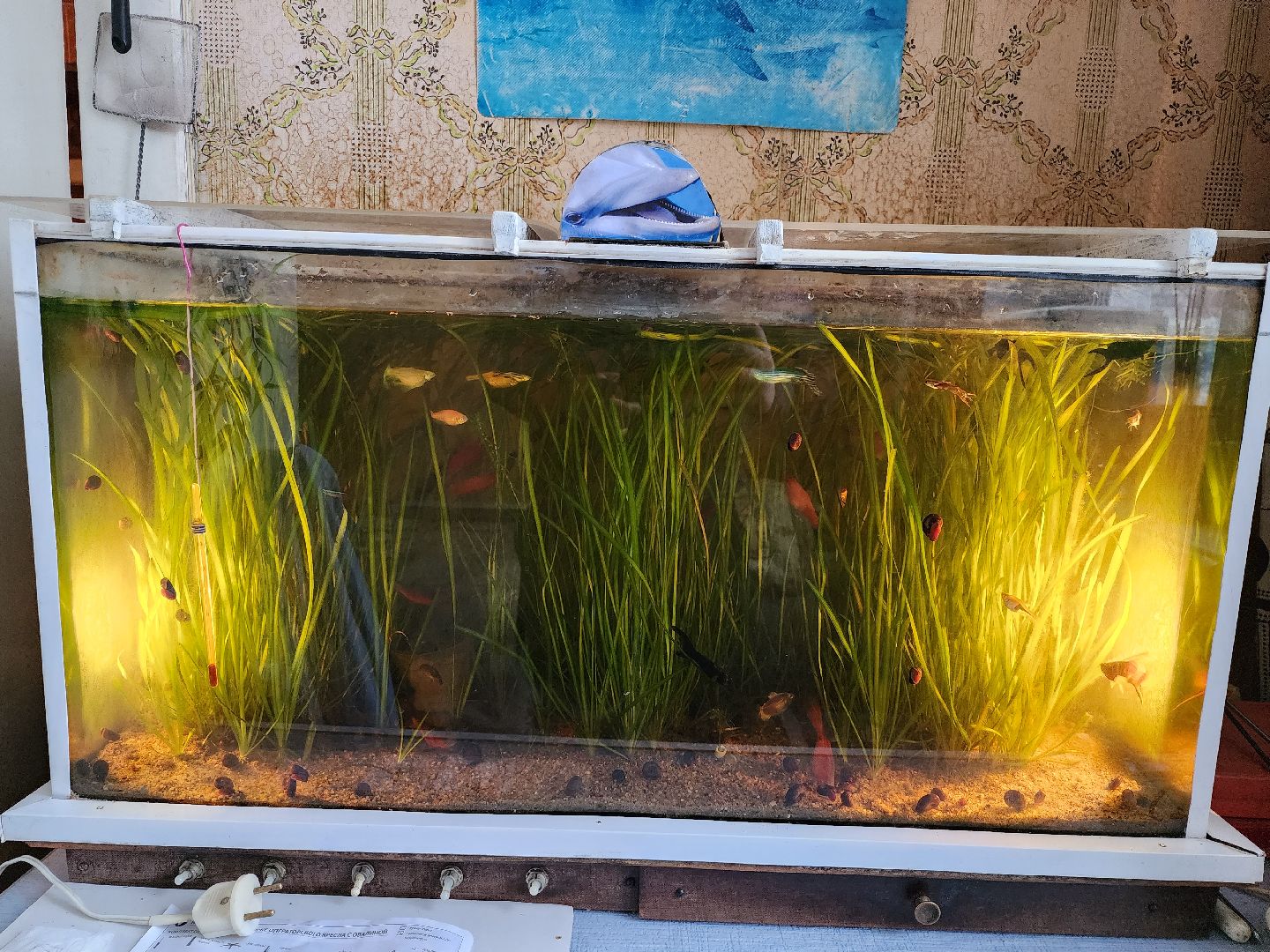 Подмосковье, Инвалид-ремесленник, новогодний мастер, Серпухов, Творец,