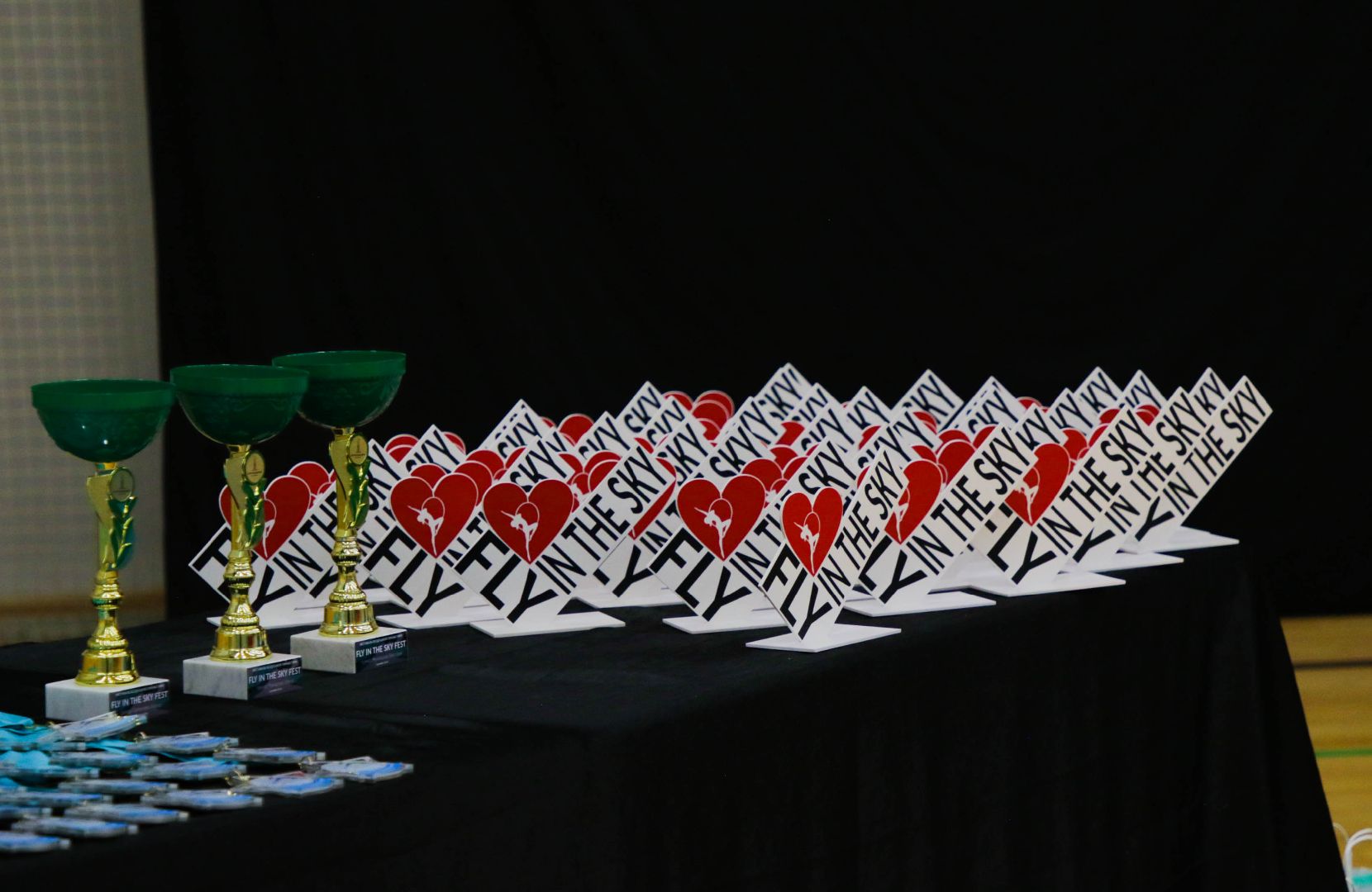 воздушная гимнастика, минспорт, Домодедово,