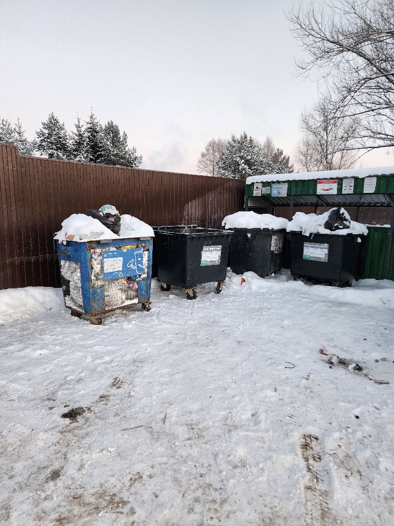 химки, благоустройство, подмосковье,