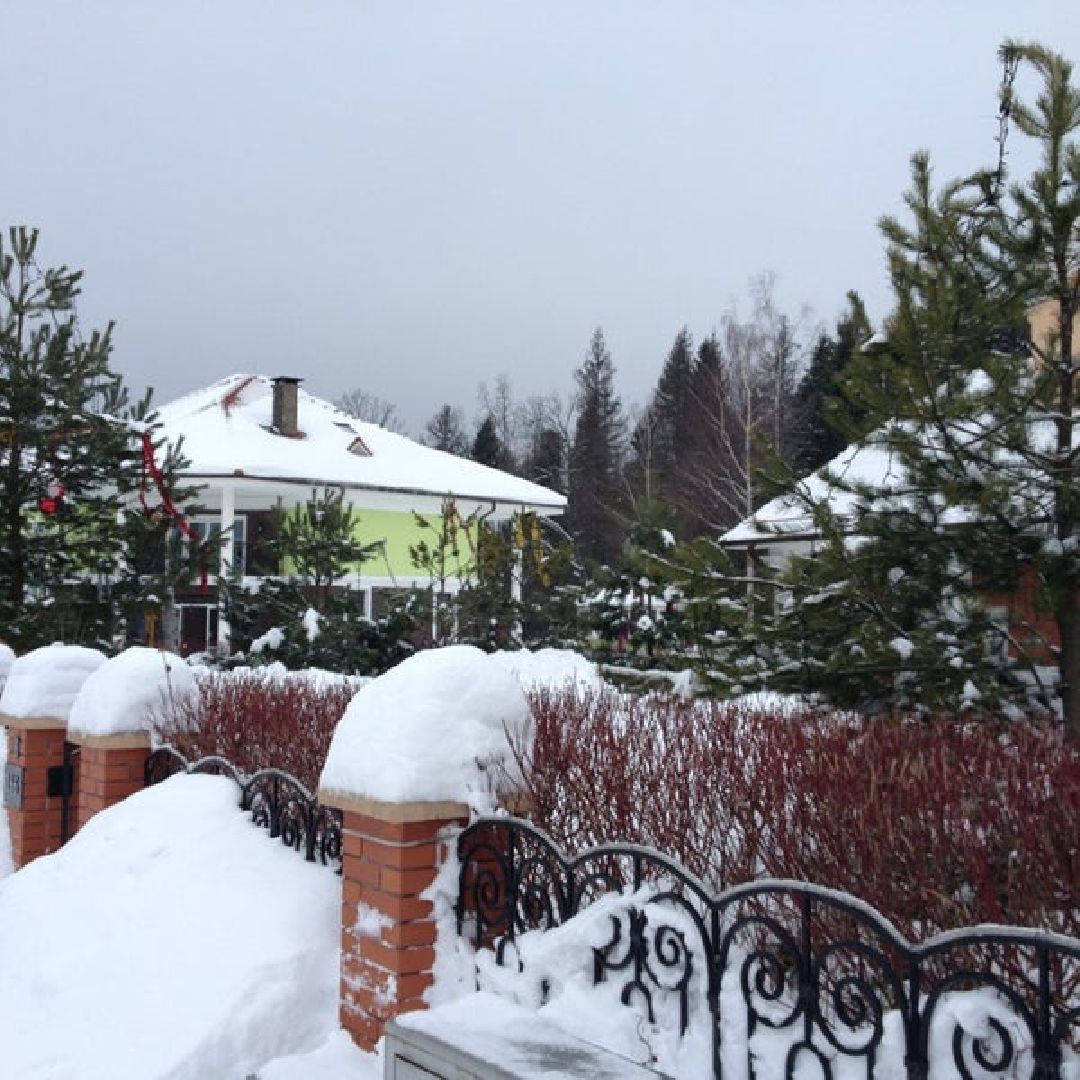 Звенигород, Илья Кива, убийство, покушение на убийство