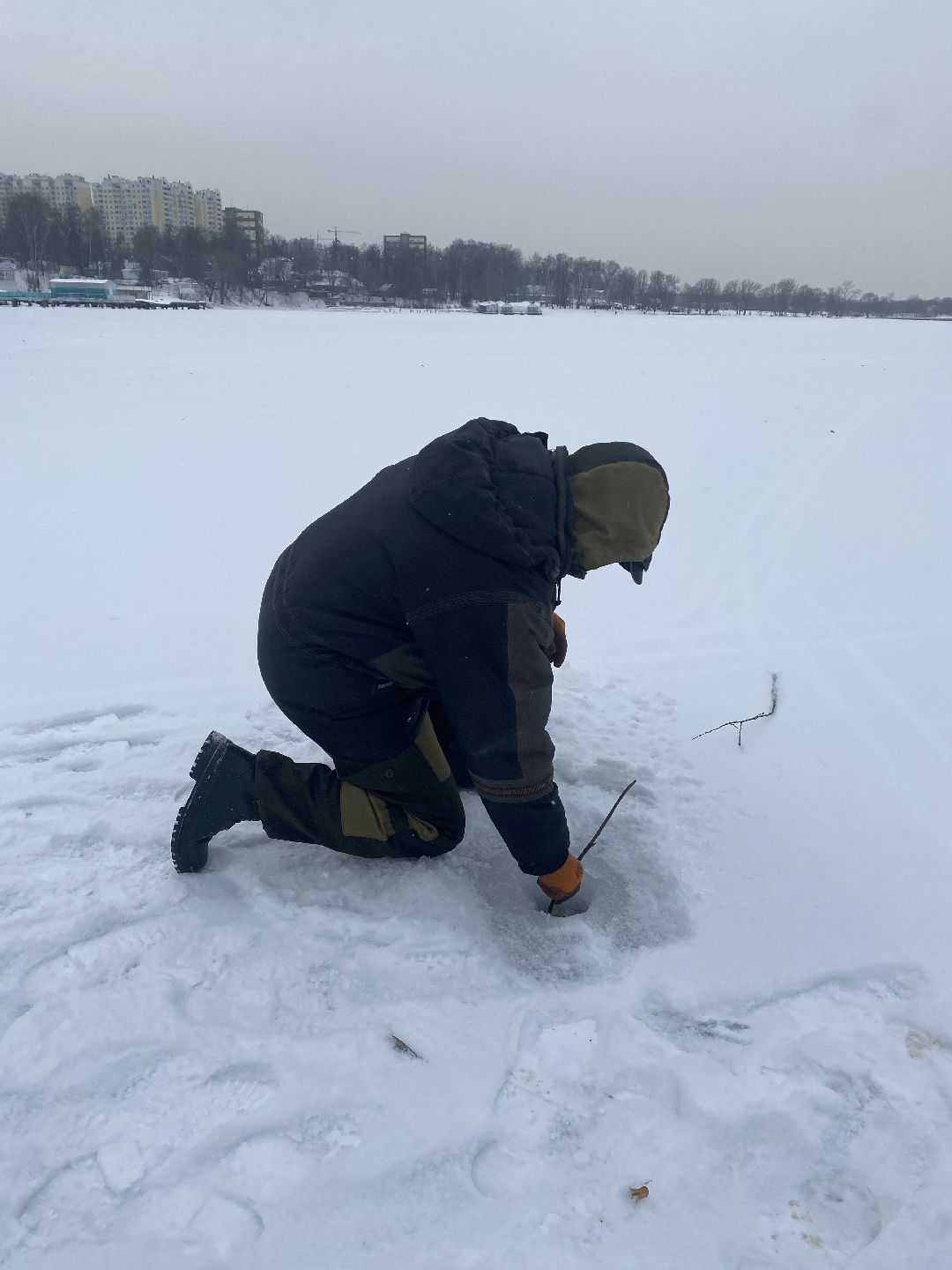 Долгопрудный, общество