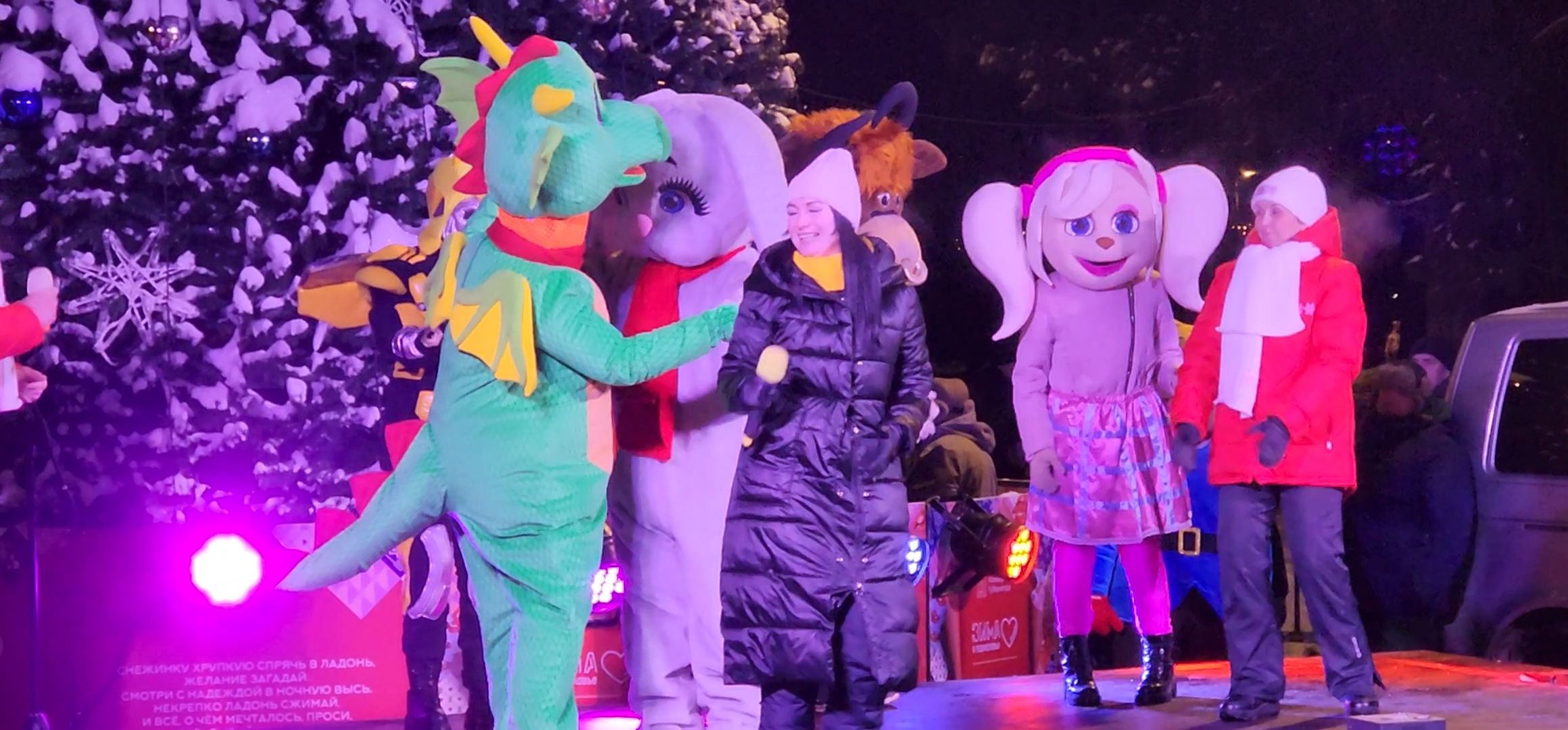 Коломна, Озеры, главная елка, новогодняя елка, открытие городской елки, новый год,