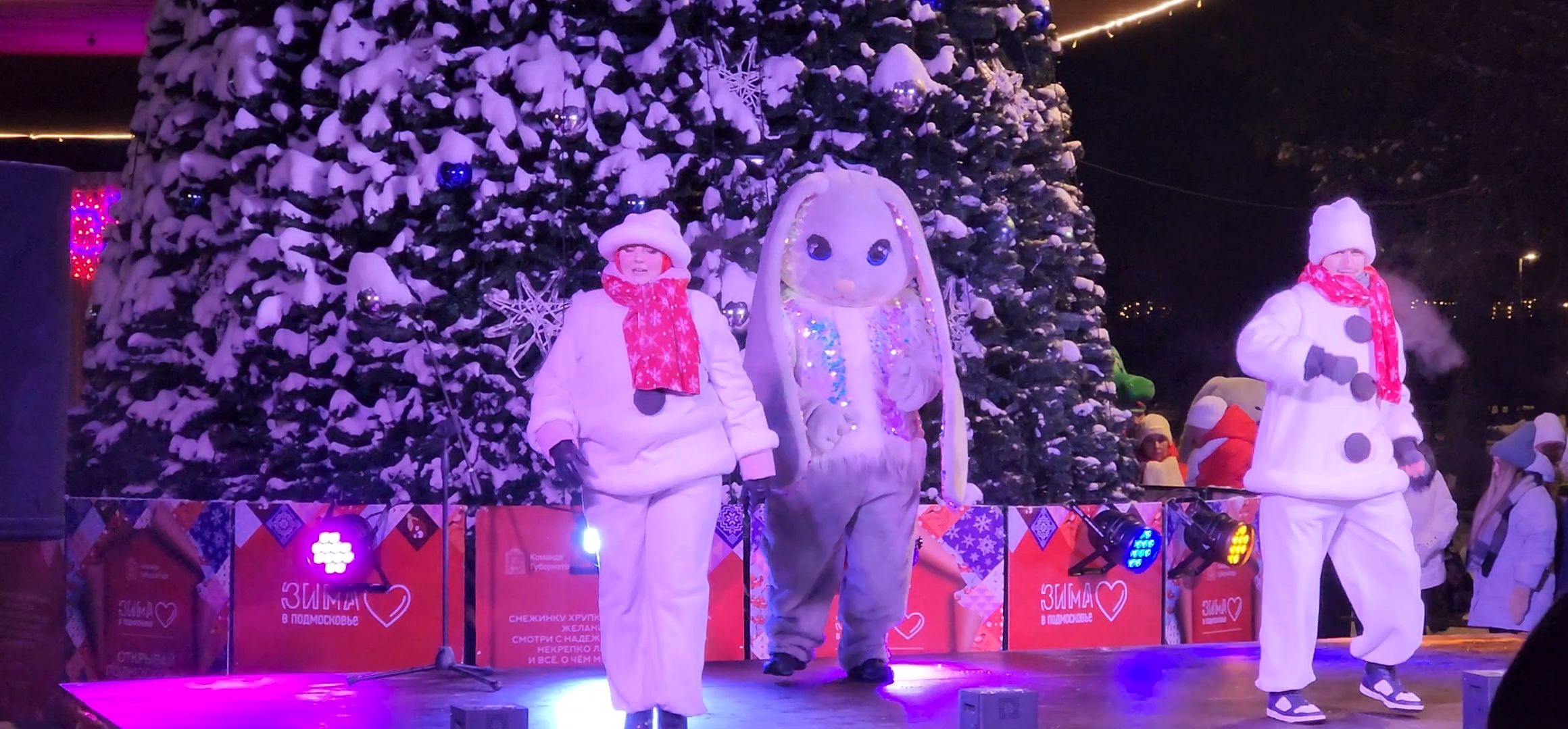 Коломна, Озеры, главная елка, новогодняя елка, открытие городской елки, новый год,