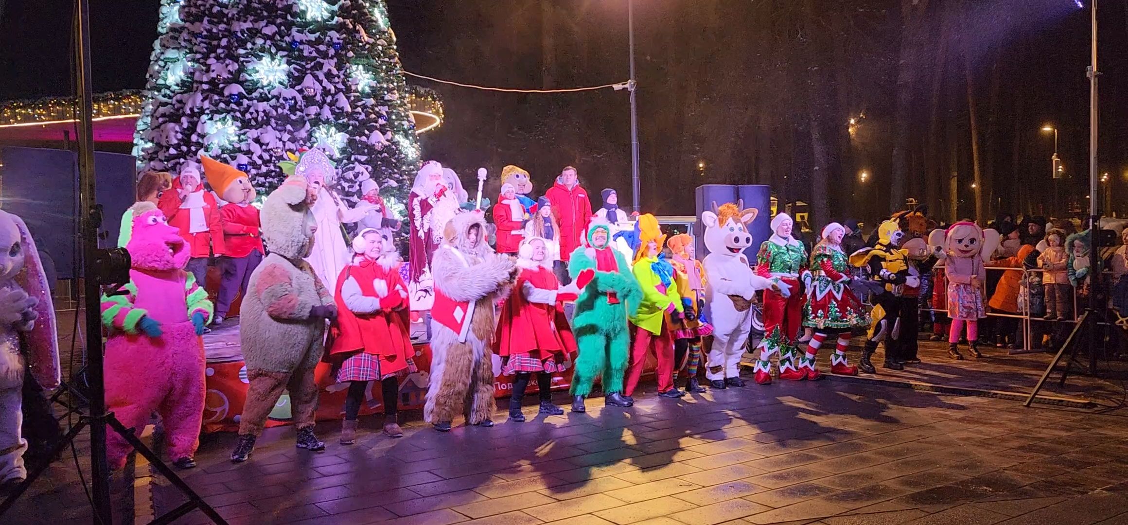 Коломна, Озеры, главная елка, новогодняя елка, открытие городской елки, новый год,