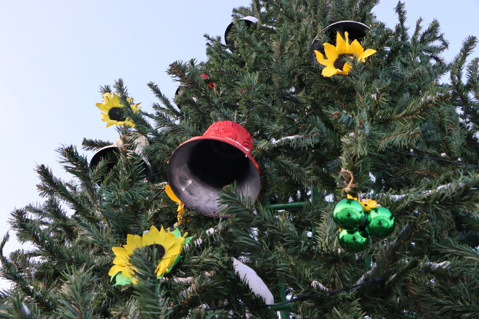 Серебряные Пруды, Зима в Подмосковье, Культурный код, ПКиО Серебряный, подсолнух, Даниил Бокарев,