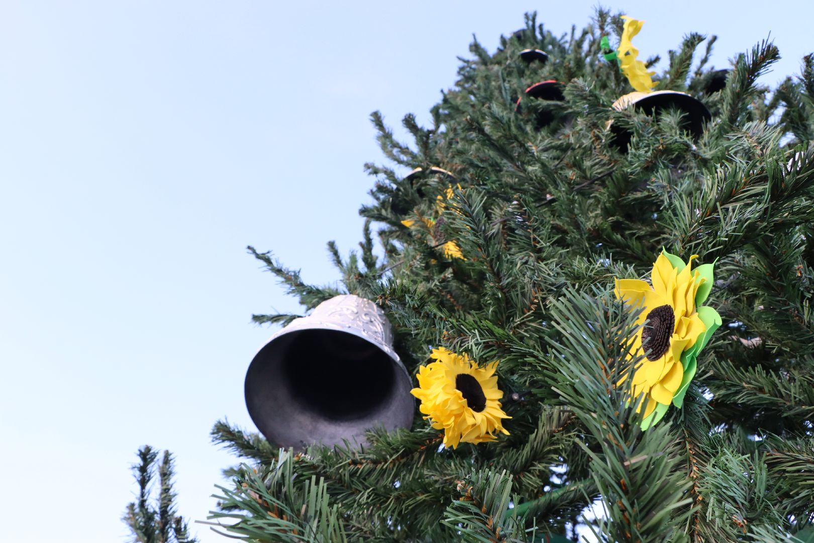 Серебряные Пруды, Зима в Подмосковье, Культурный код, ПКиО Серебряный, подсолнух, Даниил Бокарев,
