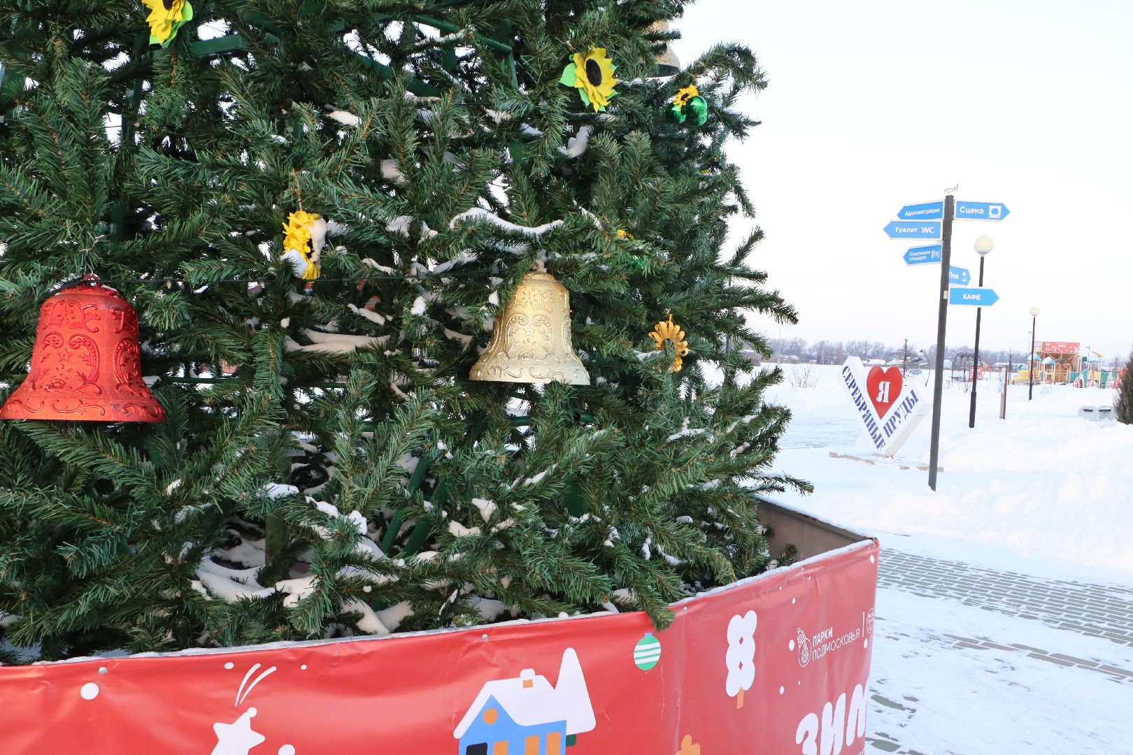 Серебряные Пруды, Зима в Подмосковье, Культурный код, ПКиО Серебряный, подсолнух, Даниил Бокарев,