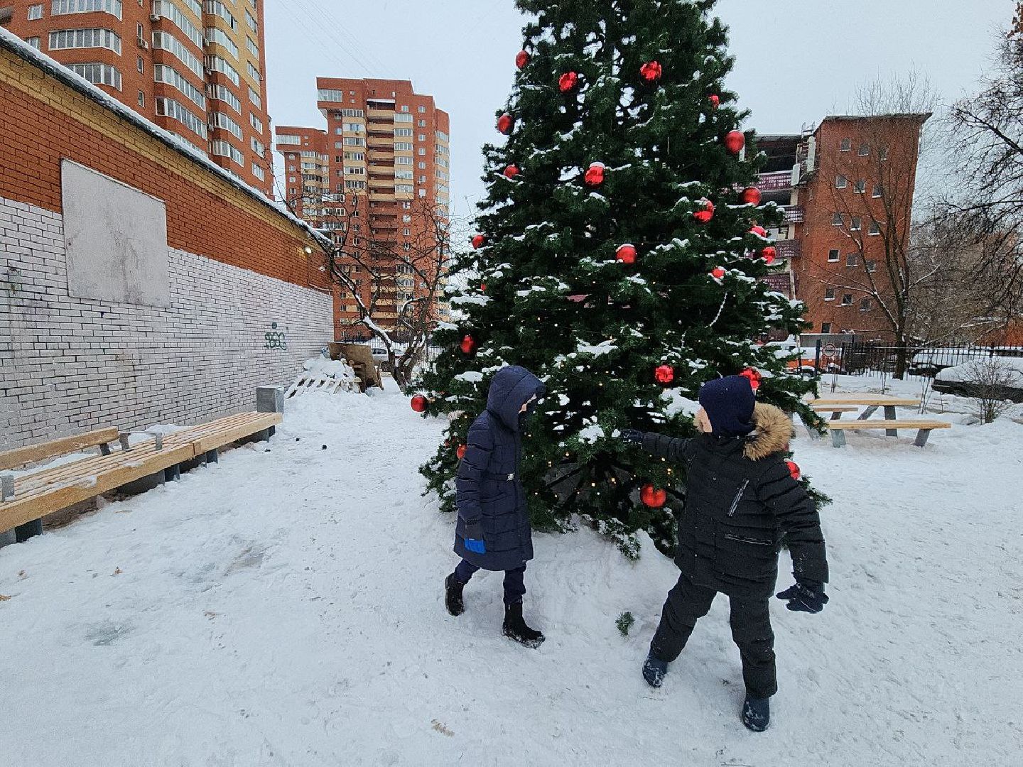 люберцы, управляющая компания, пилотный проект, новогодняя елка,