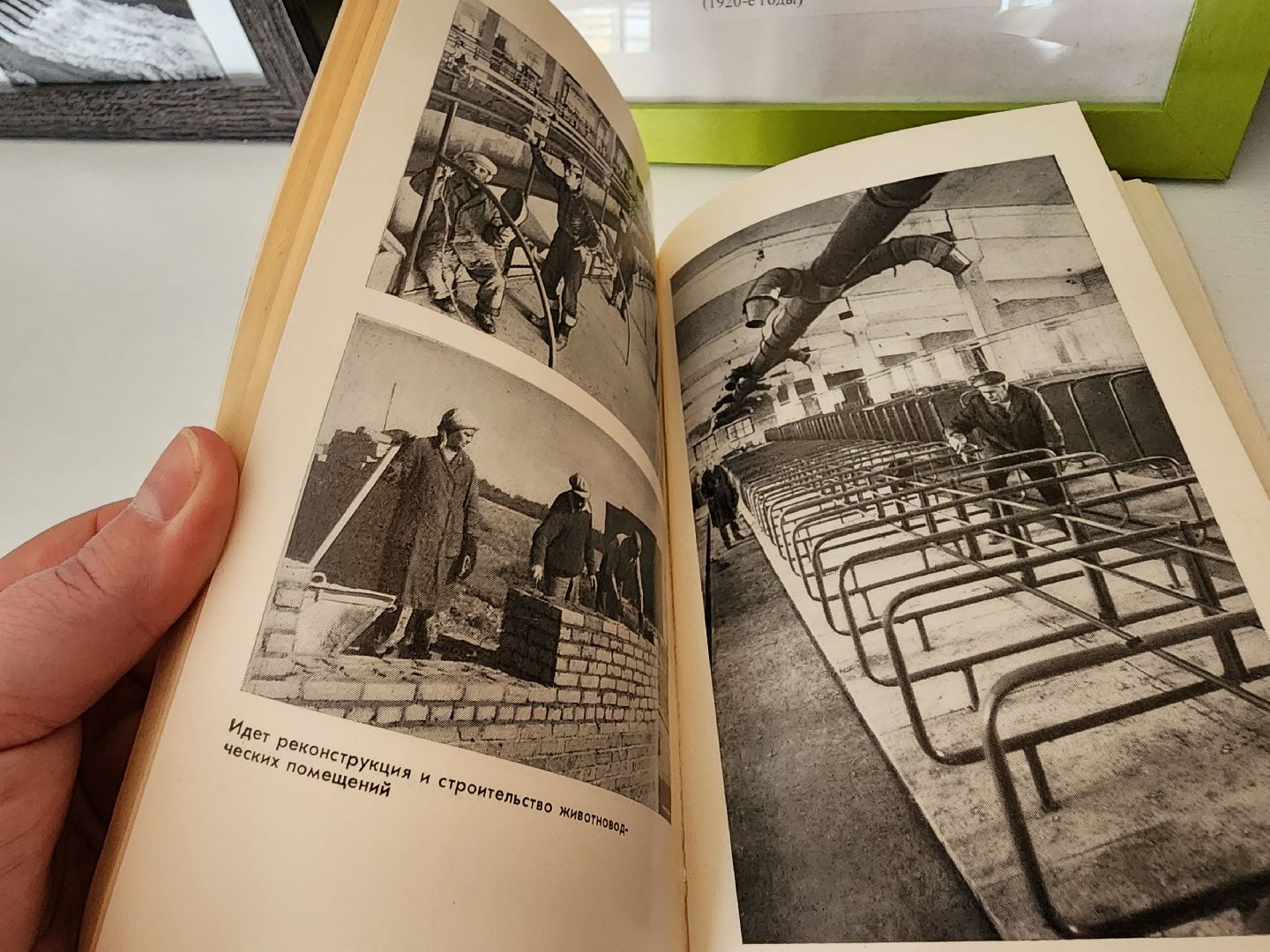 красноармейск, г.о. пушкинский, краеведение, редкая книга,