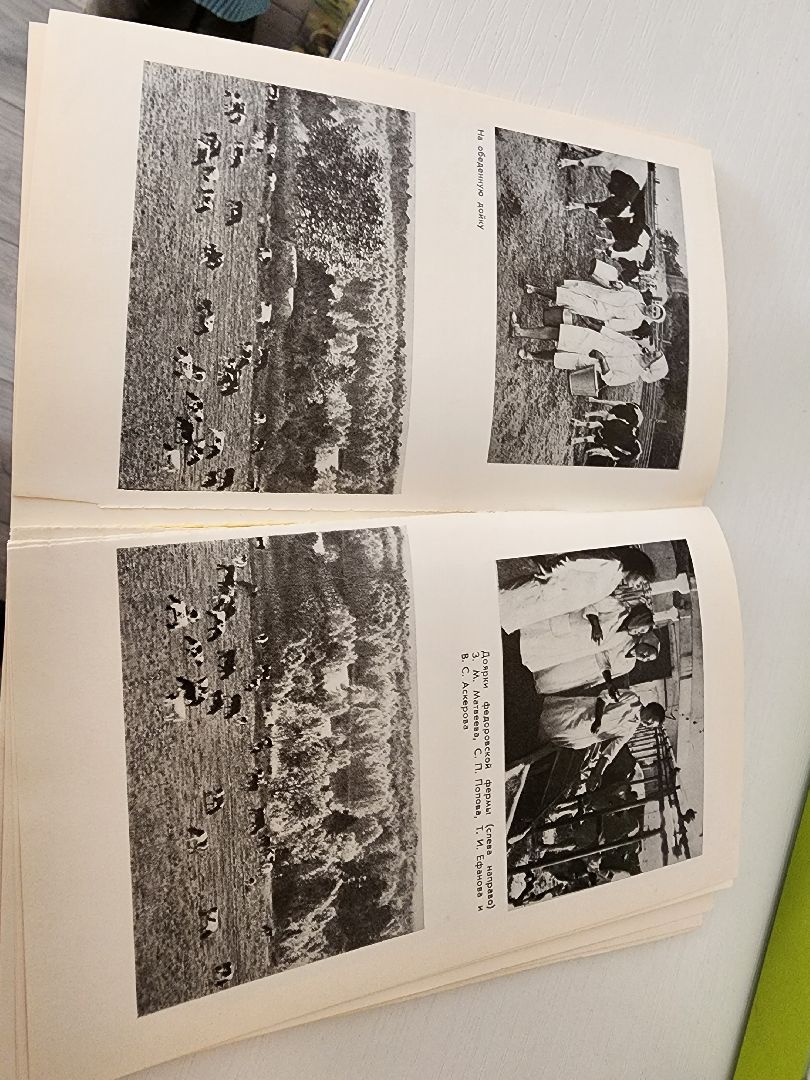 красноармейск, г.о. пушкинский, краеведение, редкая книга,