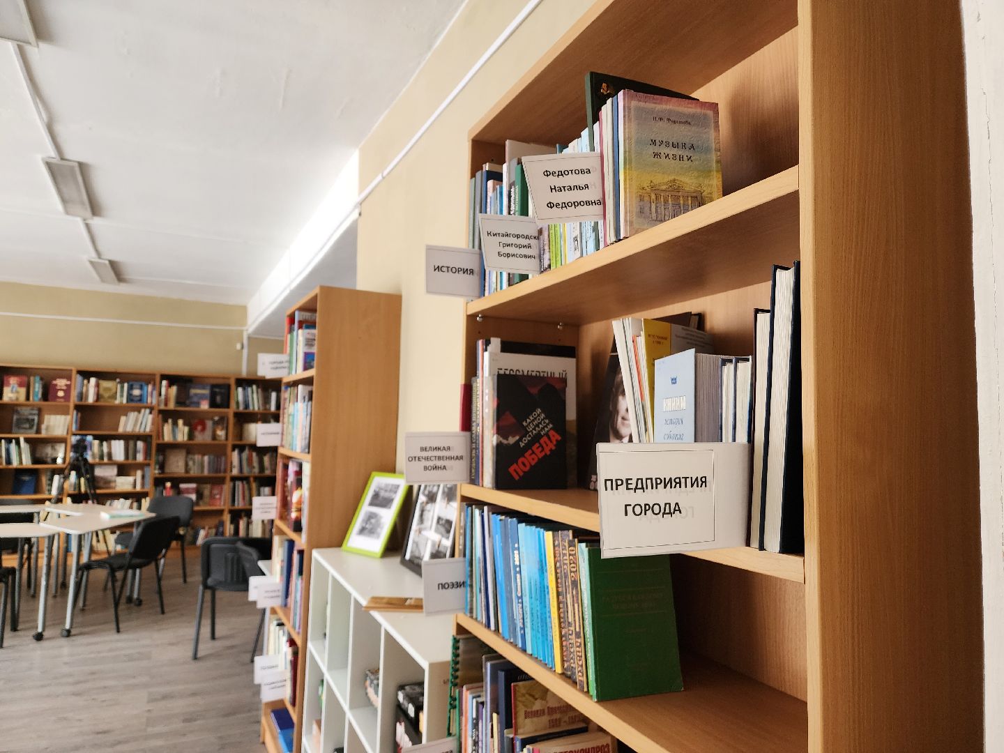 красноармейск, г.о. пушкинский, краеведение, редкая книга,