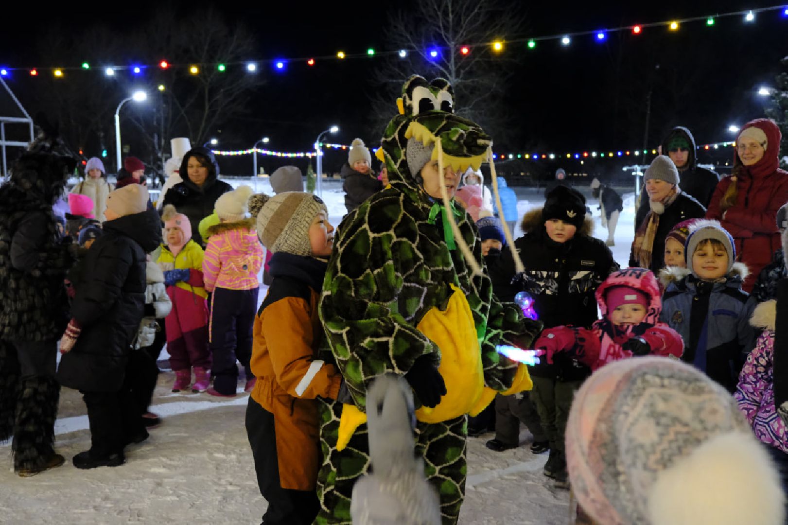 пущино, новый год, зима в подмосковье,
