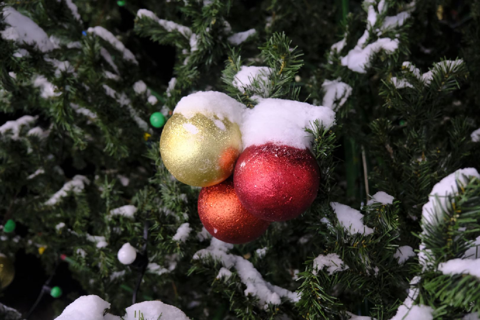 пущино, новый год, зима в подмосковье,