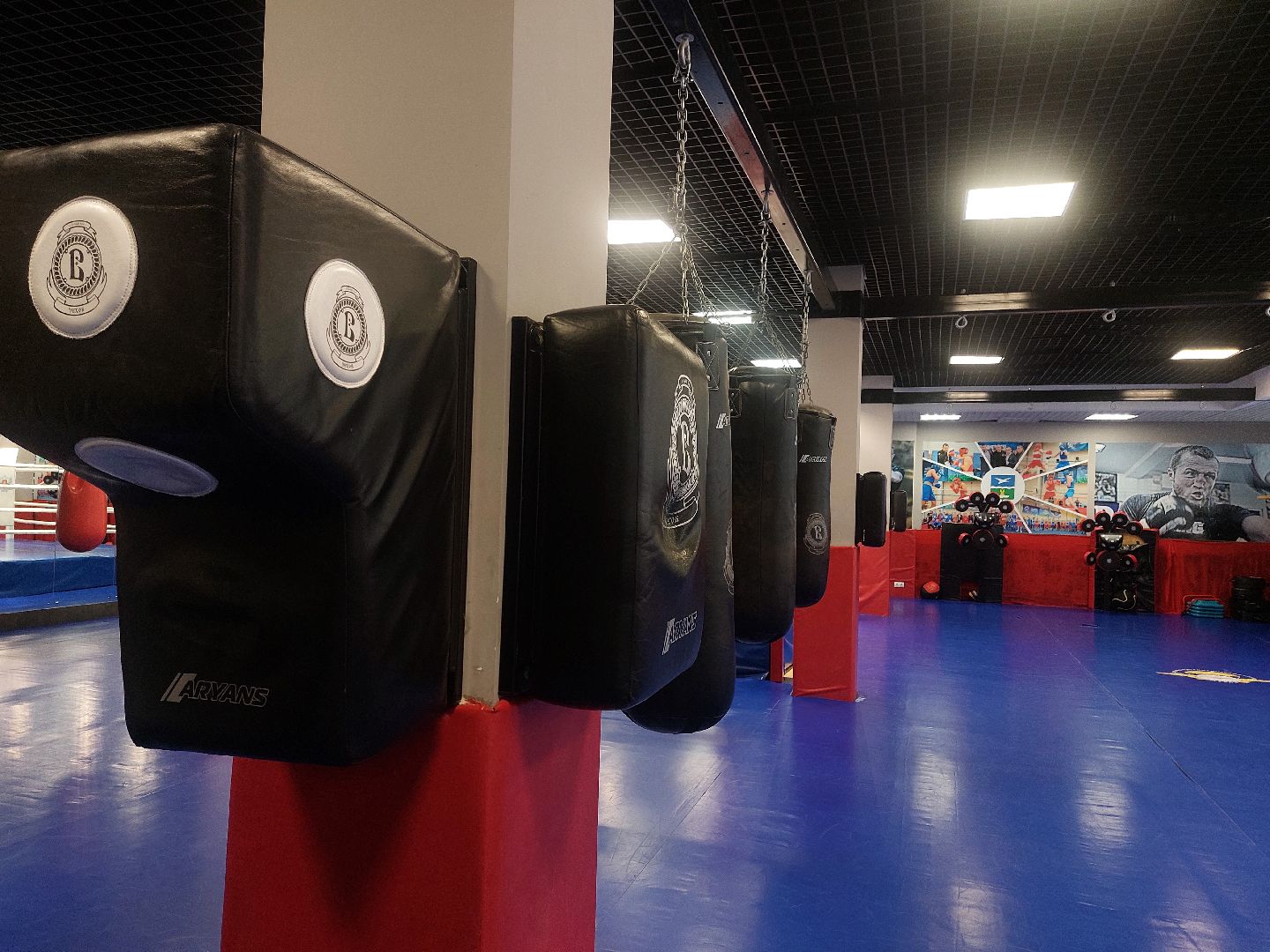 Бокс, Спорт, спорт подмосковья,