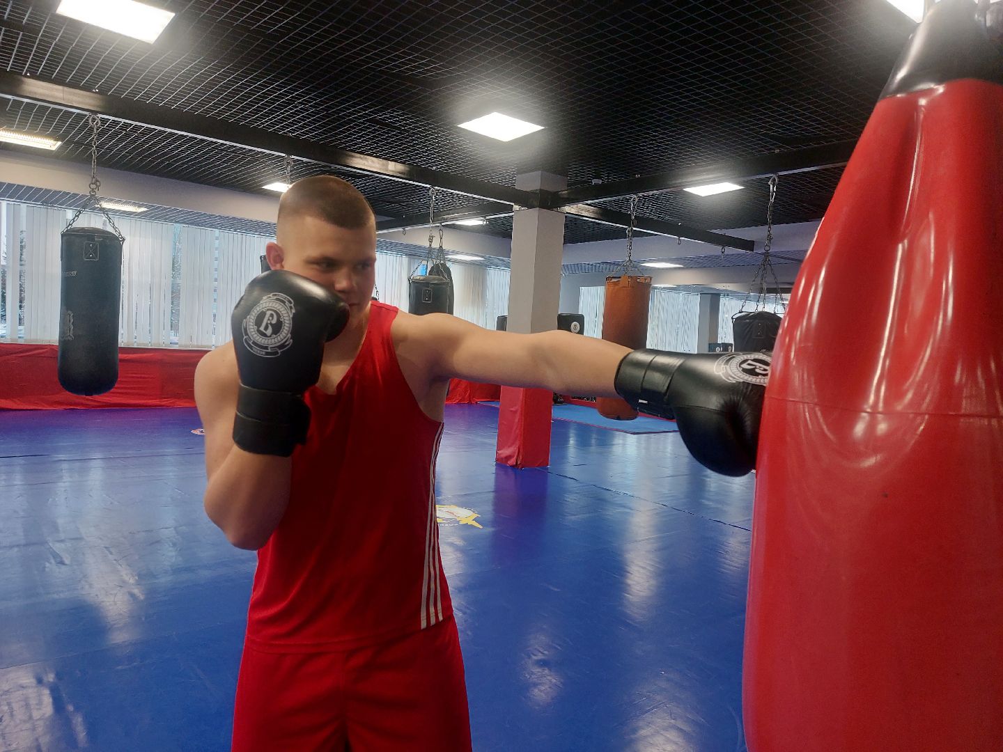 Бокс, Спорт, спорт подмосковья,