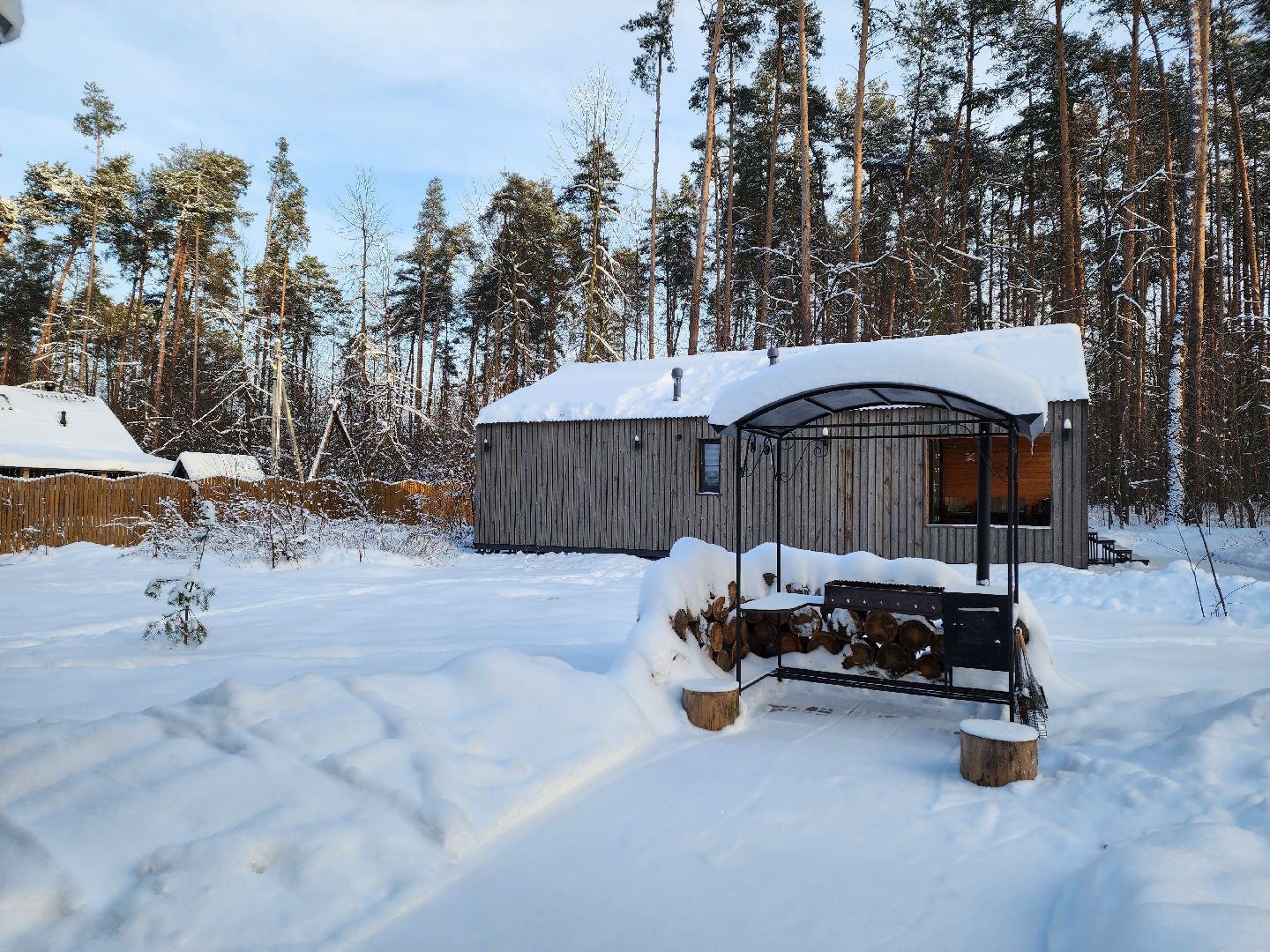 воскресенск, туризм, новый год, праздники, зима,