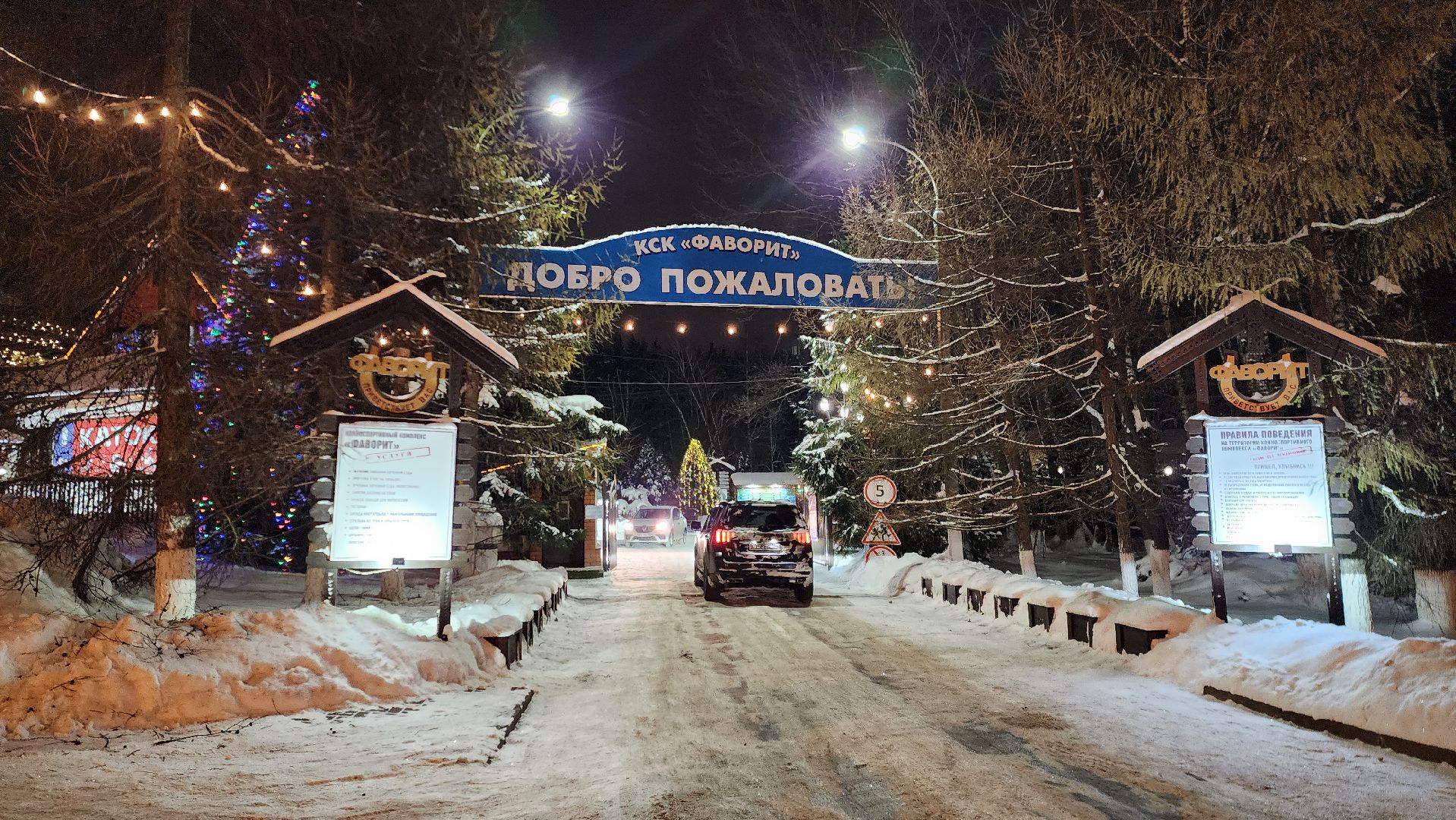 подольск, каток, фаворит,