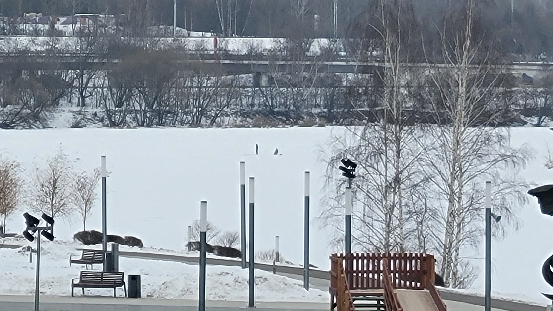 Красногорск, общество