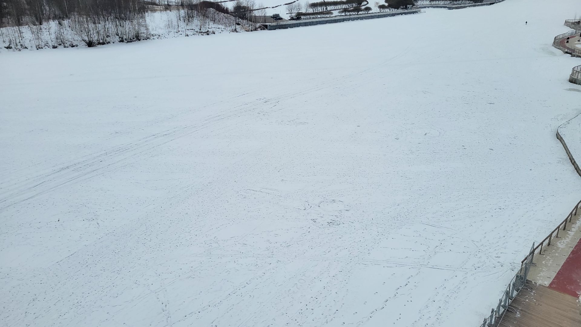 Красногорск, общество