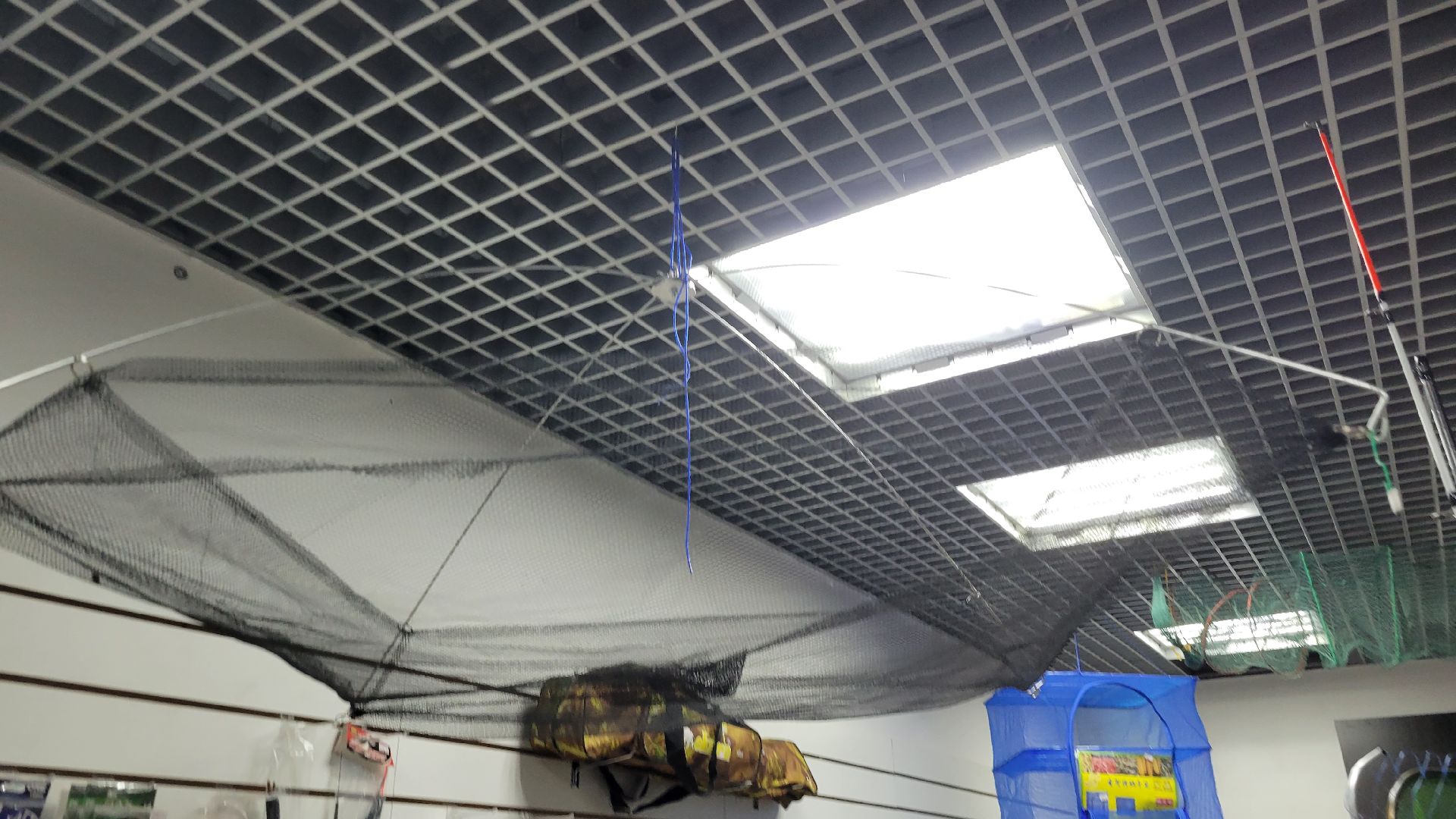 Красногорск, общество