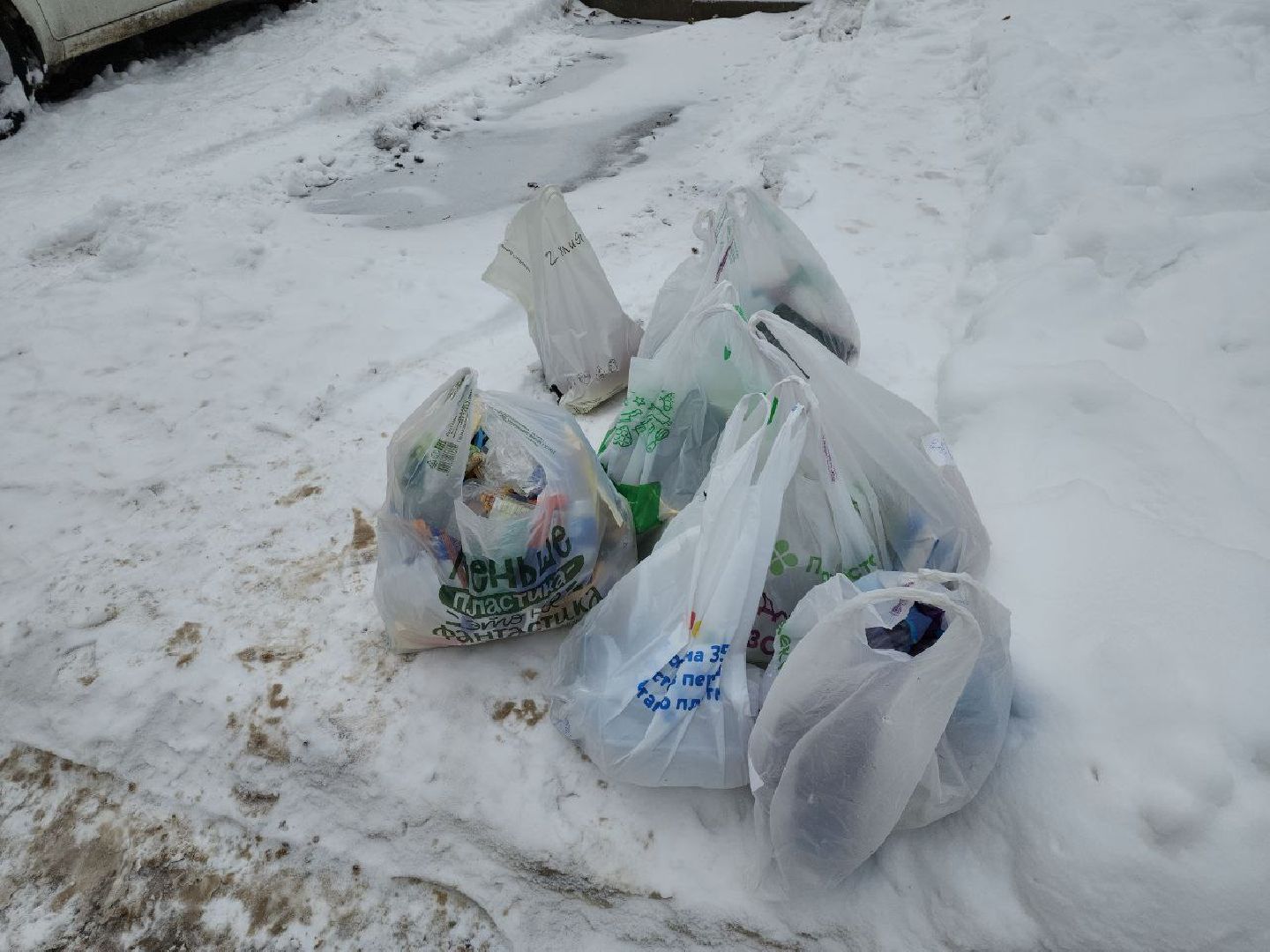 экология, акция, раздельный сбор мусора, видное,