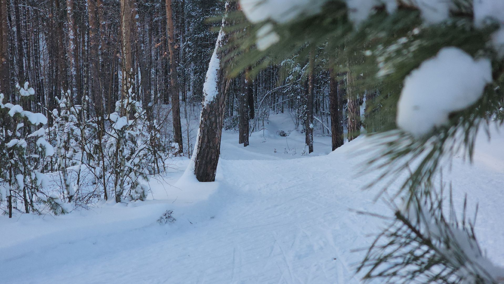 ступино, лыжный сезон, лыжные гонки,