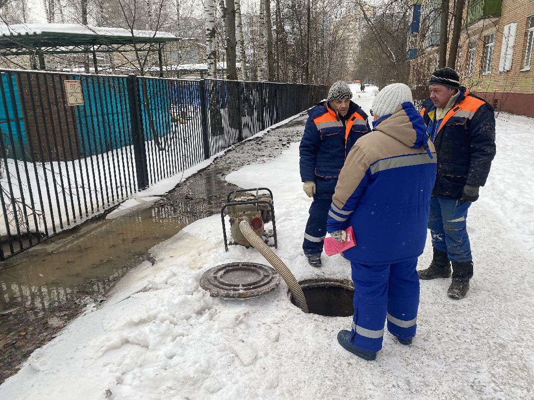 Долгопрудный, общество