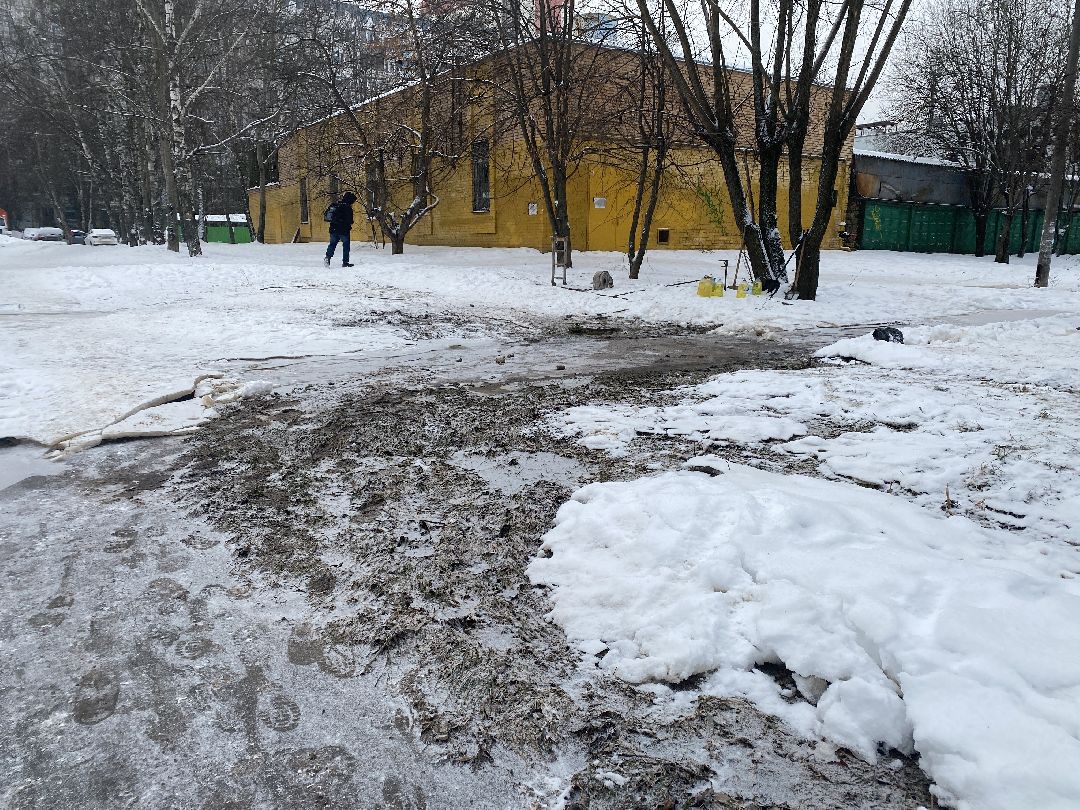 Долгопрудный, общество