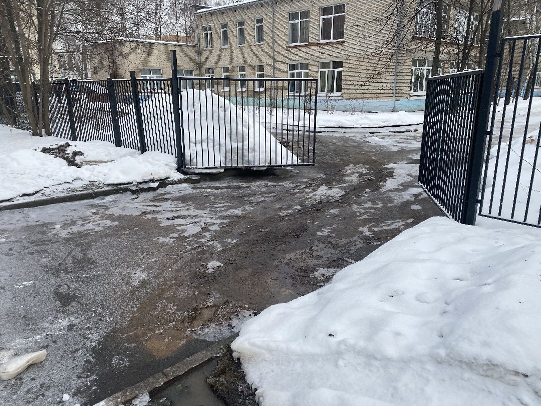 Долгопрудный, общество