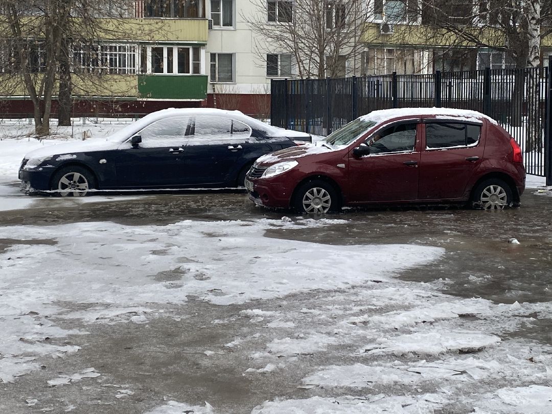 Долгопрудный, общество