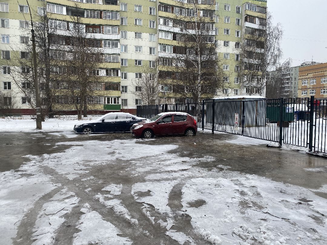 Долгопрудный, общество