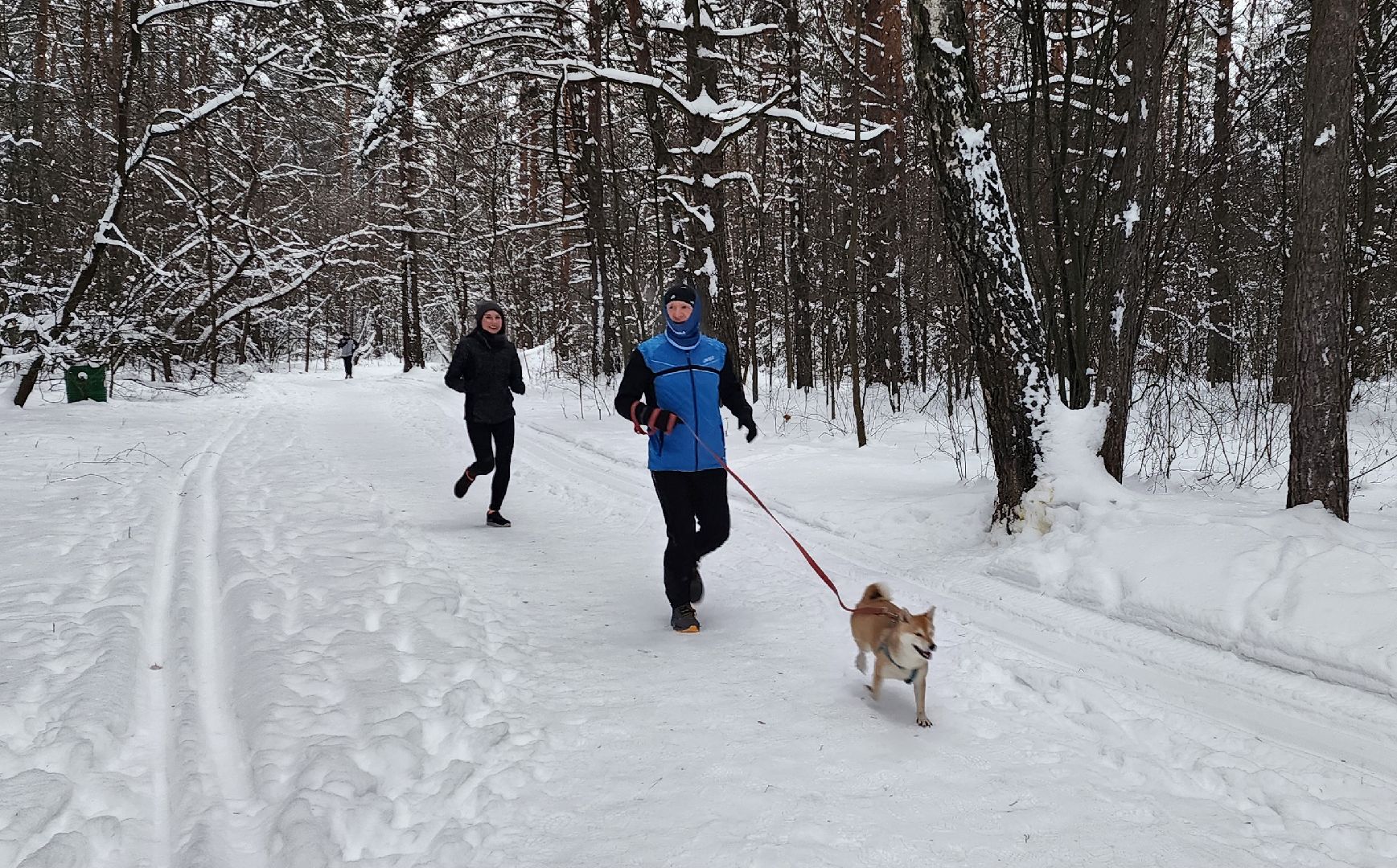 всероссийский проект, спорт, 5 верст, котельники,