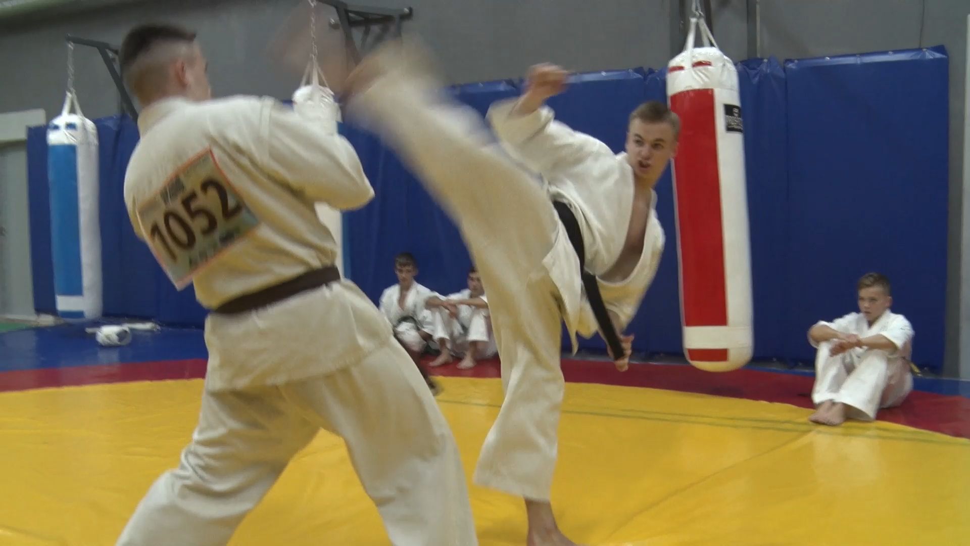 спорт, каратэ, чемпионат мира, победа, орехово-зуево,