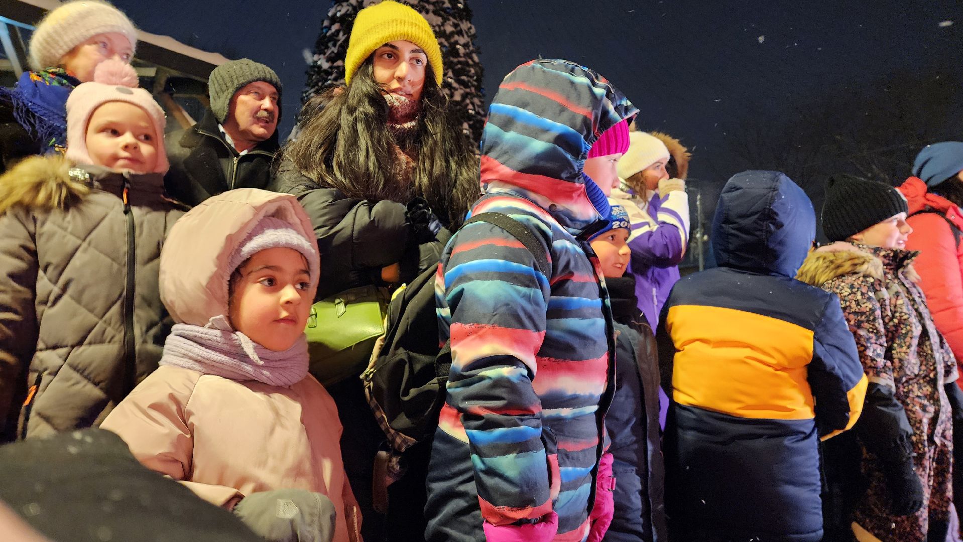 новый год, новогодние программы, новогодние елки, котельники,