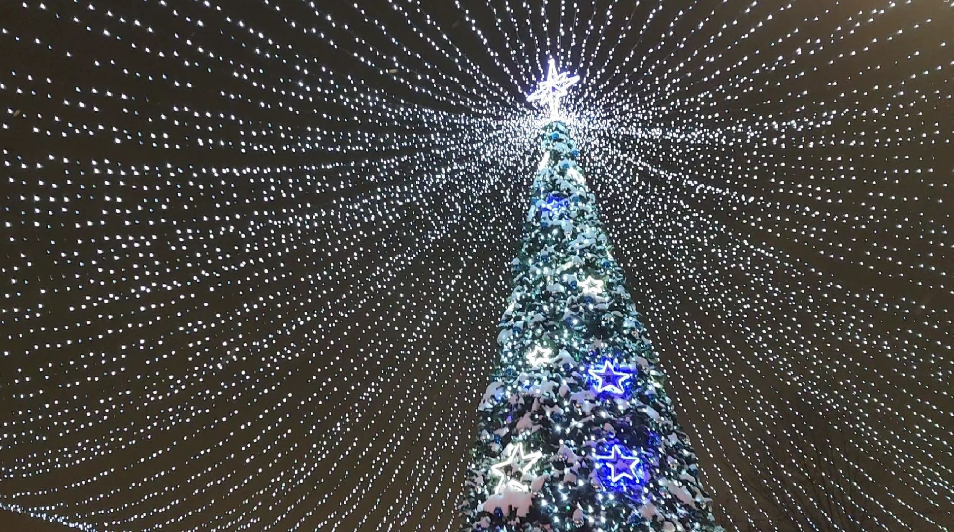 новый год, новогодние программы, новогодние елки, котельники,