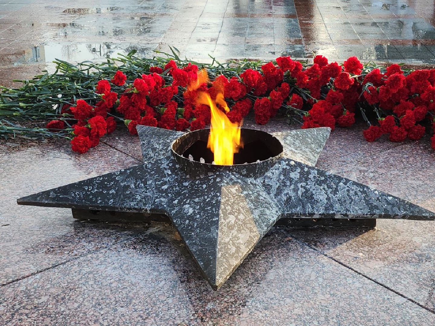 аллея славы, день памяти, возложение цветов, видное, герои,