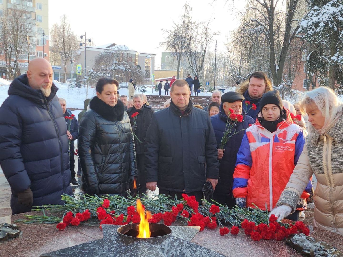 аллея славы, день памяти, возложение цветов, видное, герои,