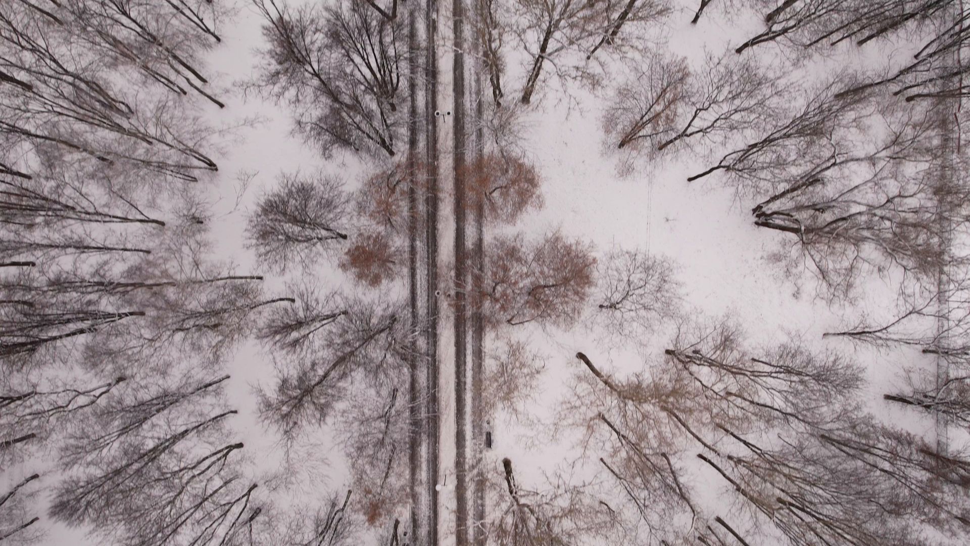 видео с коптера,