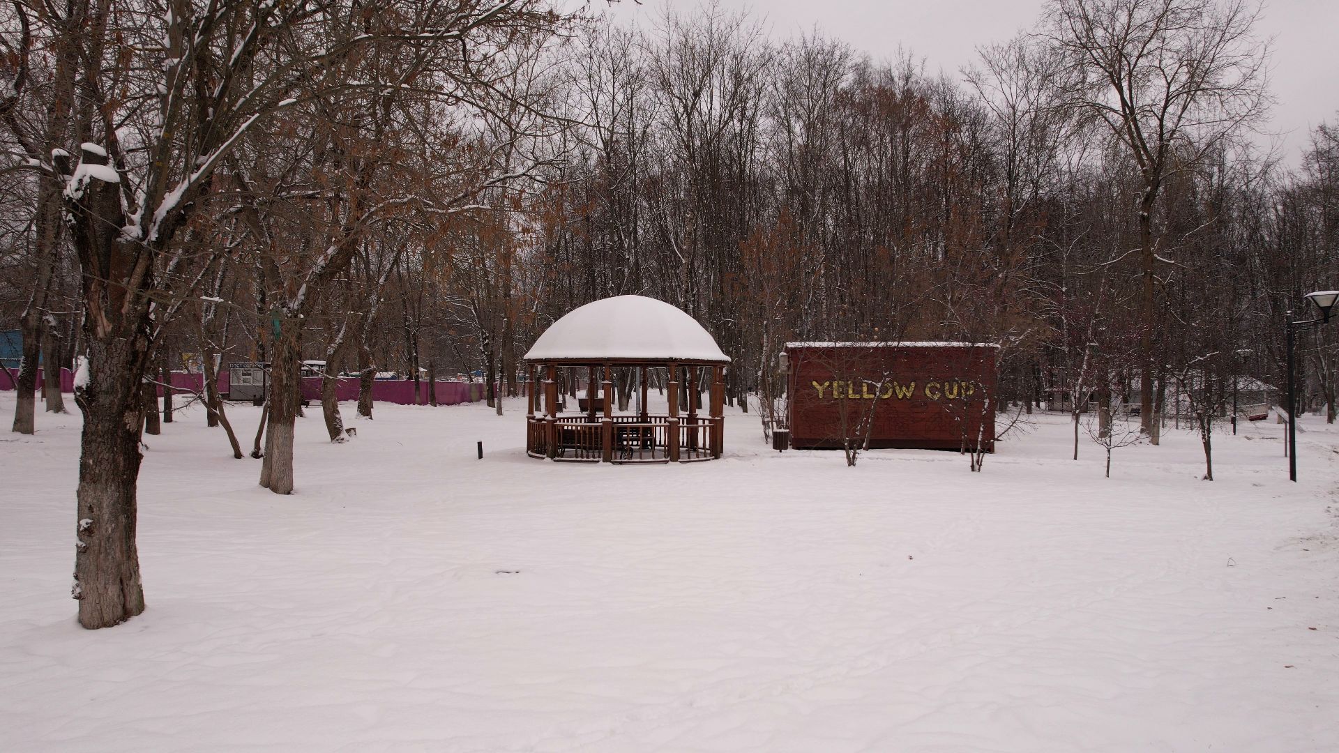 видео с коптера,