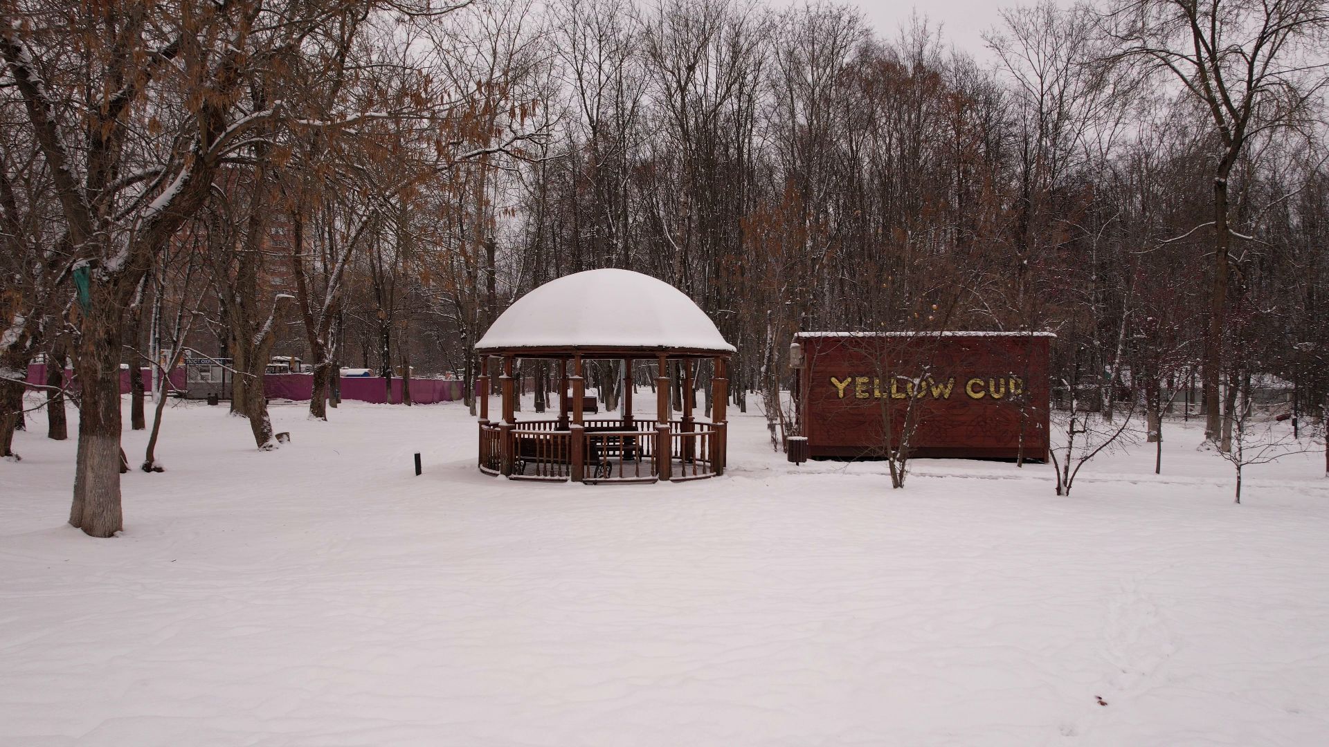 видео с коптера,