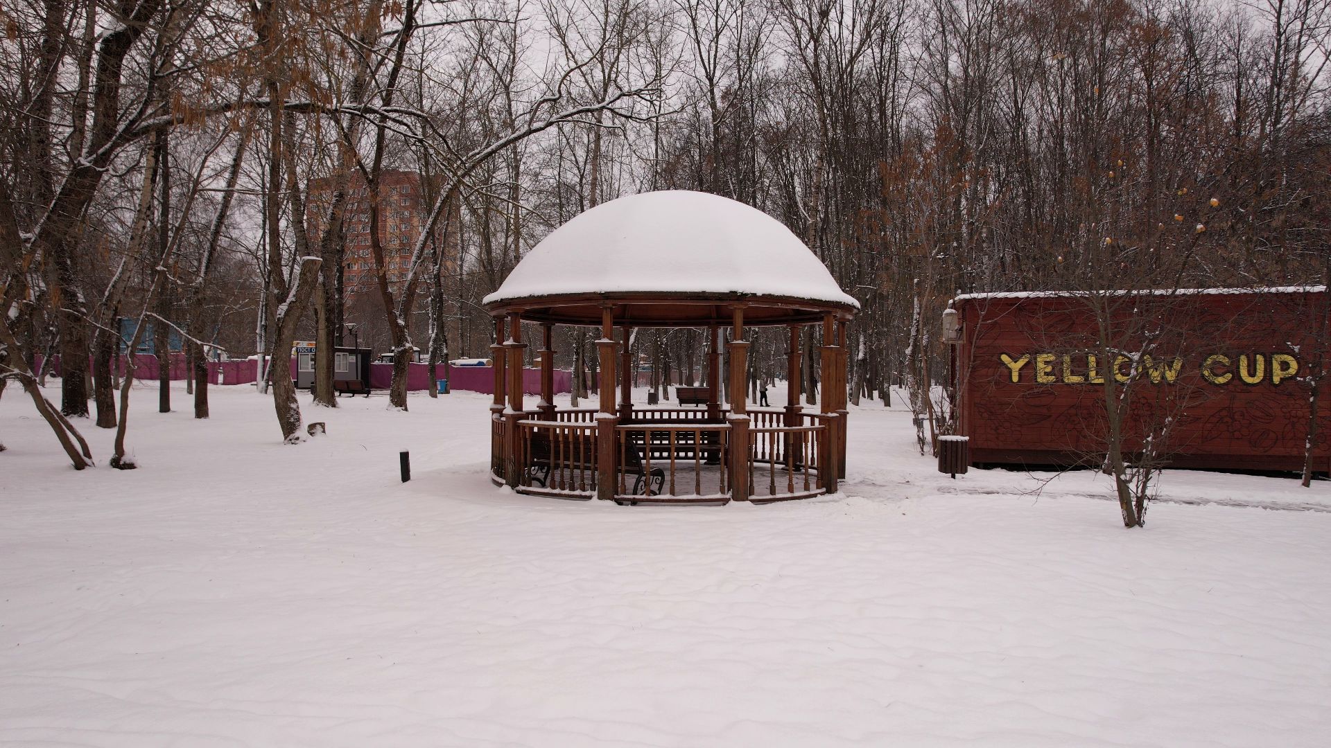 видео с коптера,