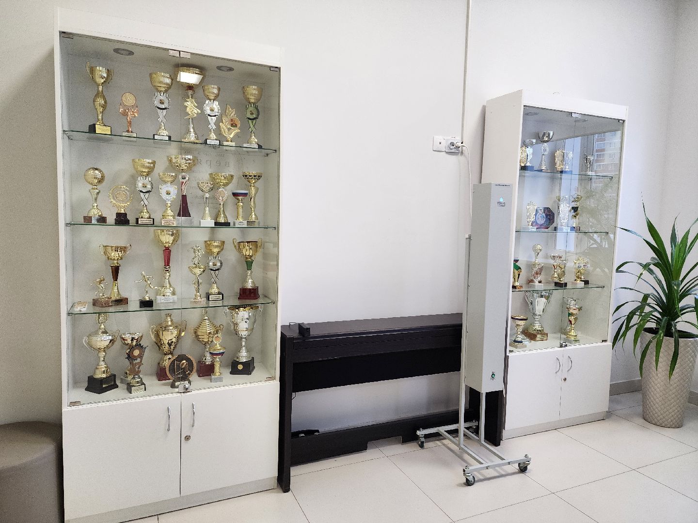 красноармейск, г.о. пушкинский, интеллектуальная игра, школьники,